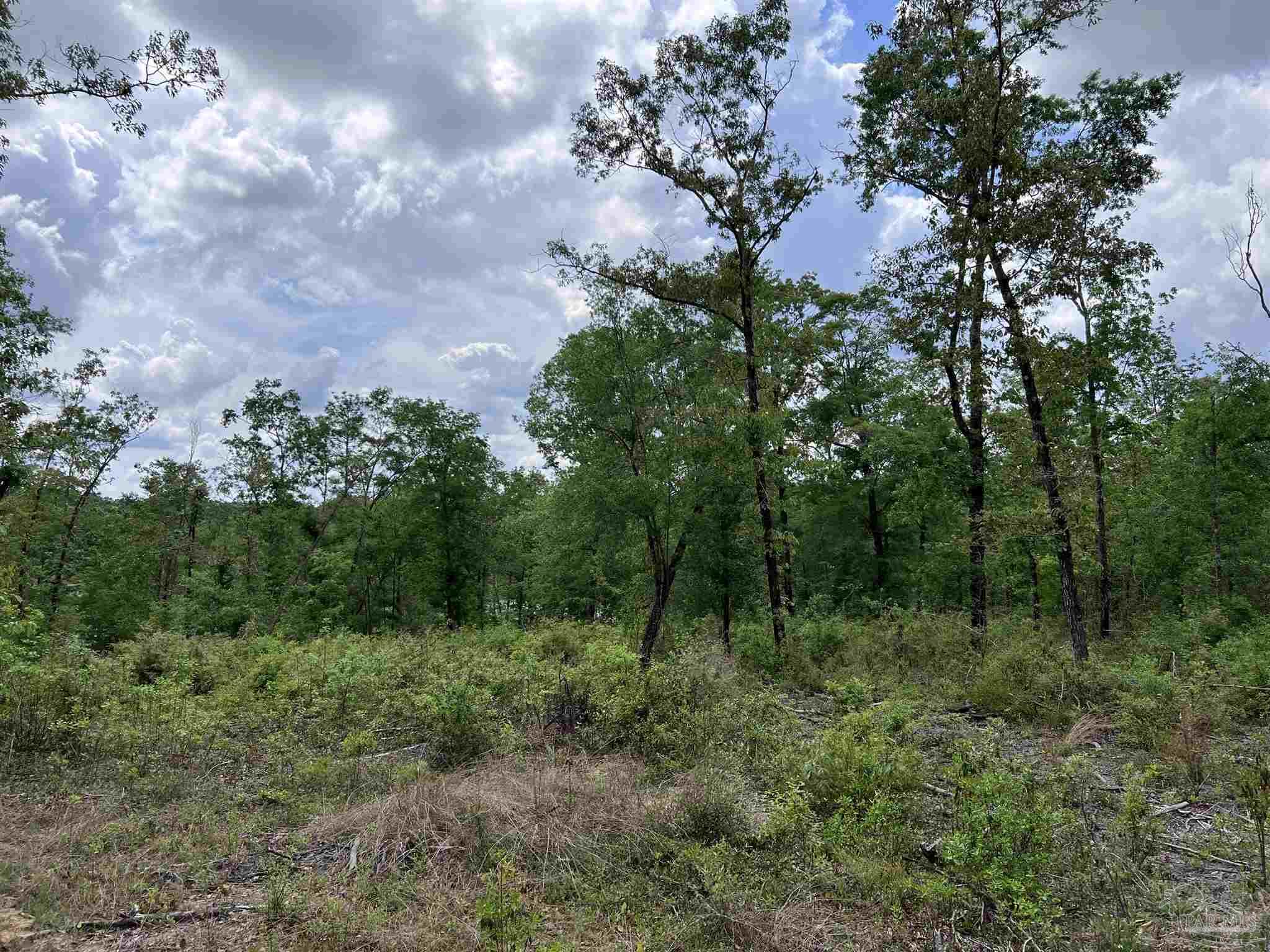 5100 Wiggins Lake Rd Lot A