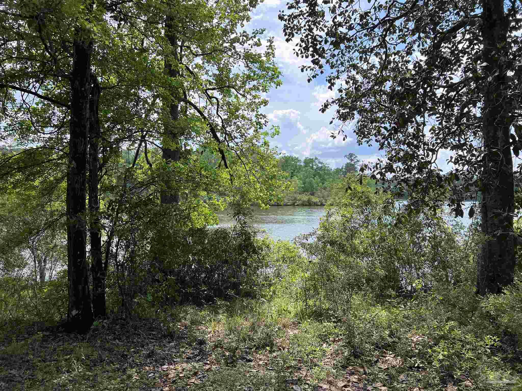 5100 Wiggins Lake Rd Lot A
