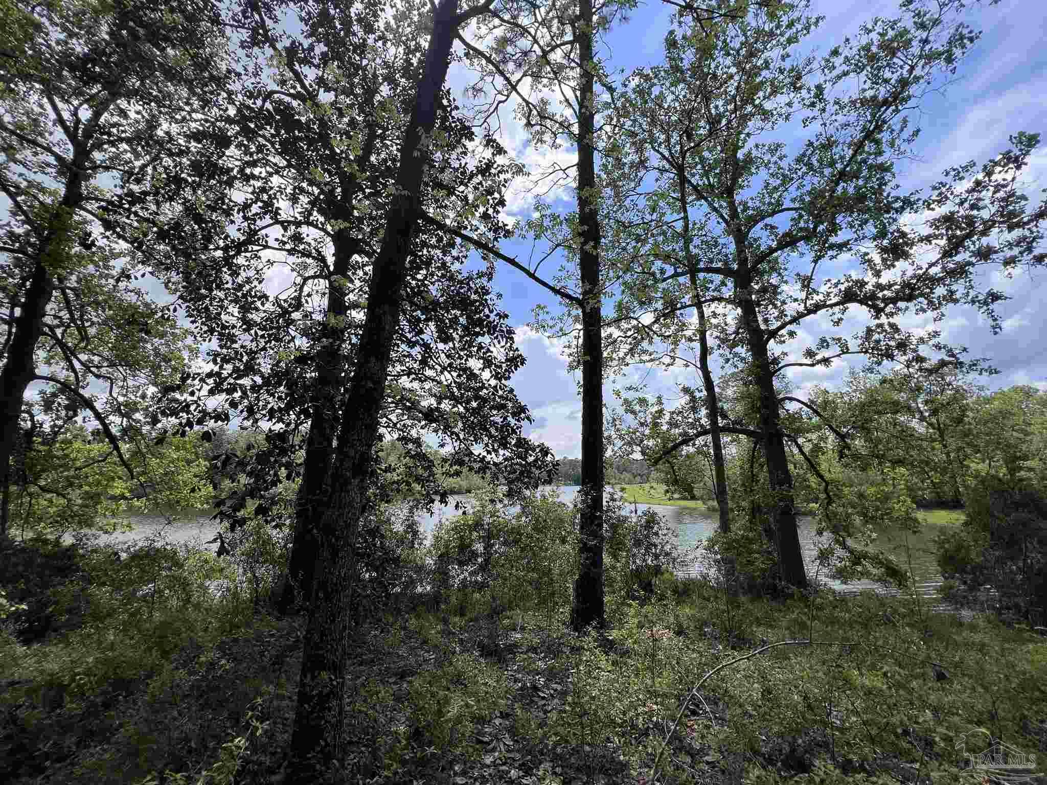 5100 Wiggins Lake Rd Lot A