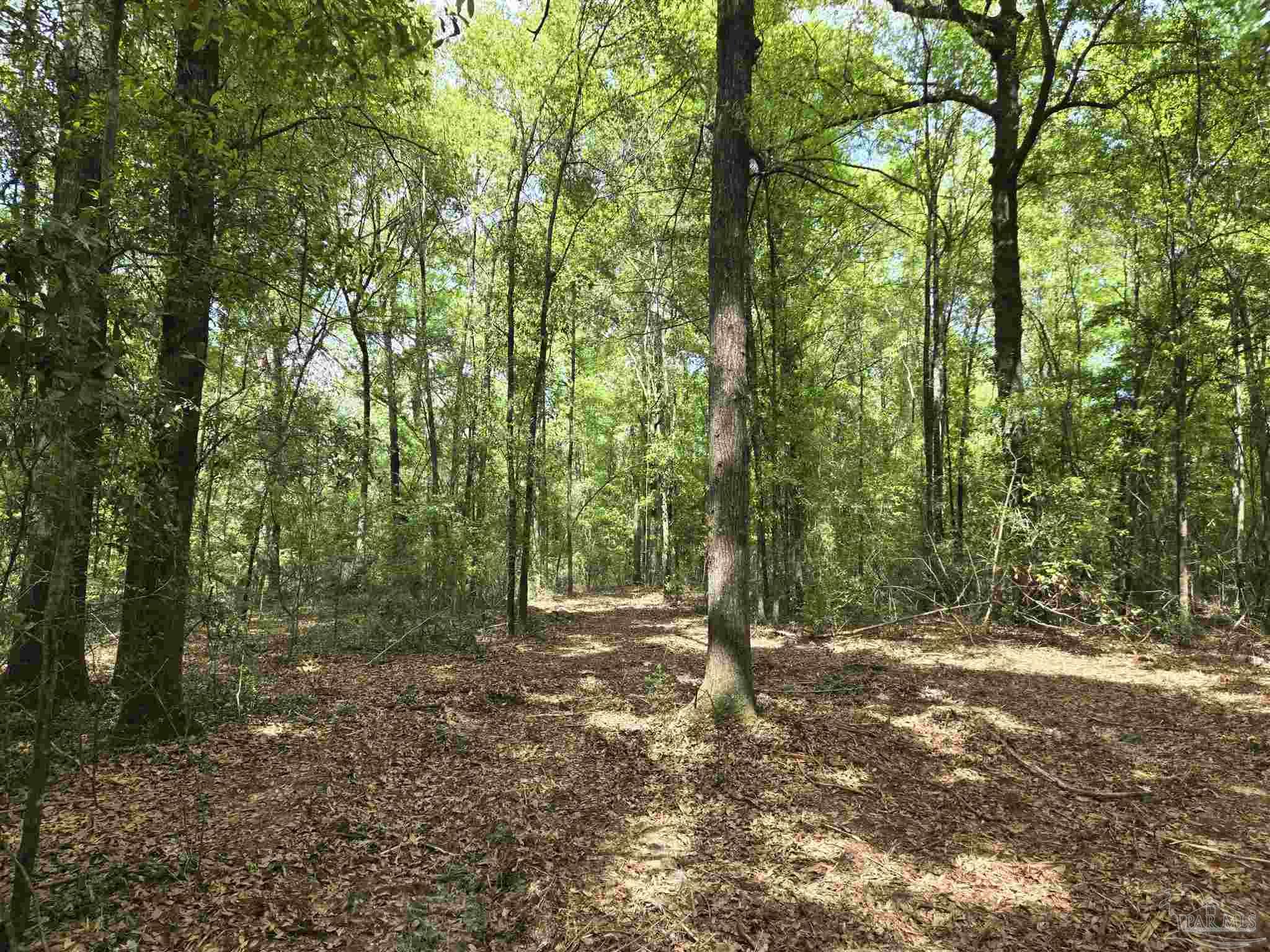 1131 Wolf Log Rd