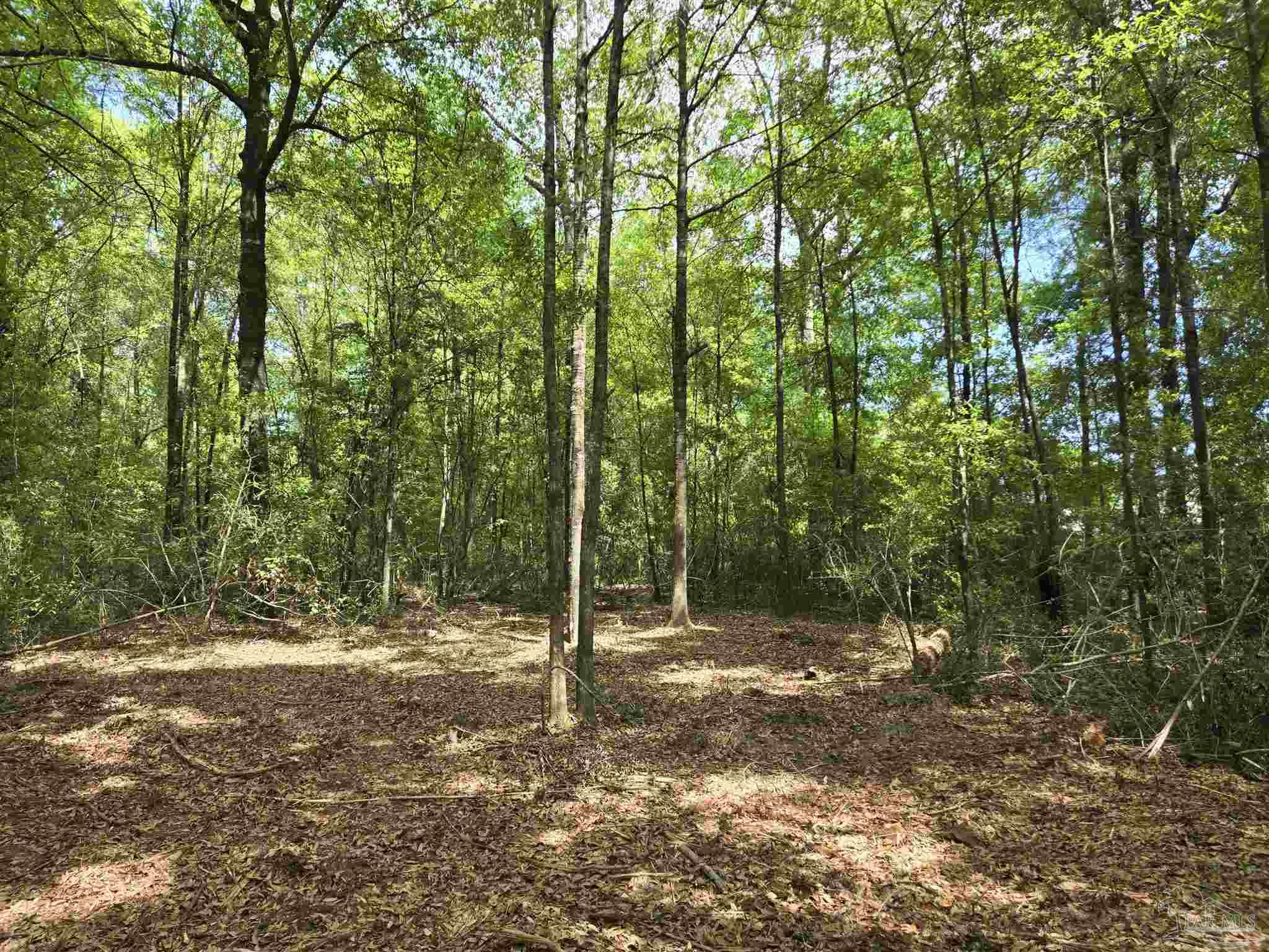 1131 Wolf Log Rd