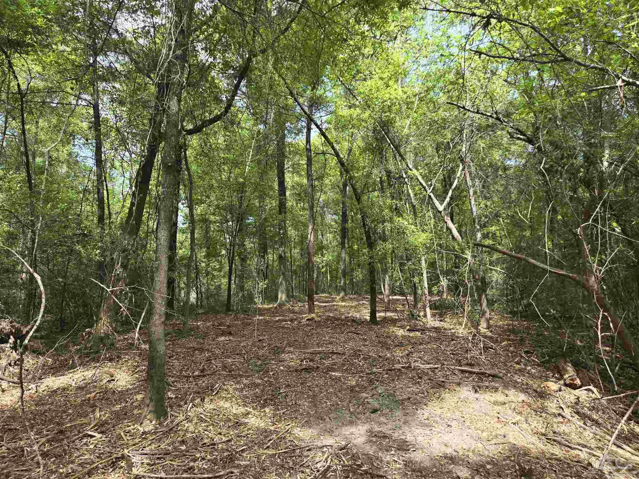 1131 Wolf Log Rd