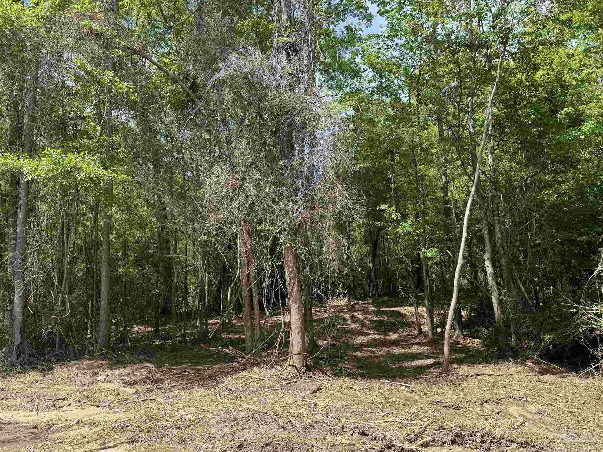 1131 Wolf Log Rd