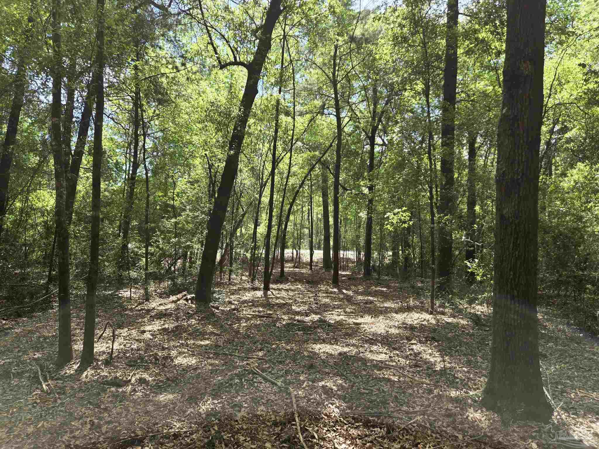 1131 Wolf Log Rd