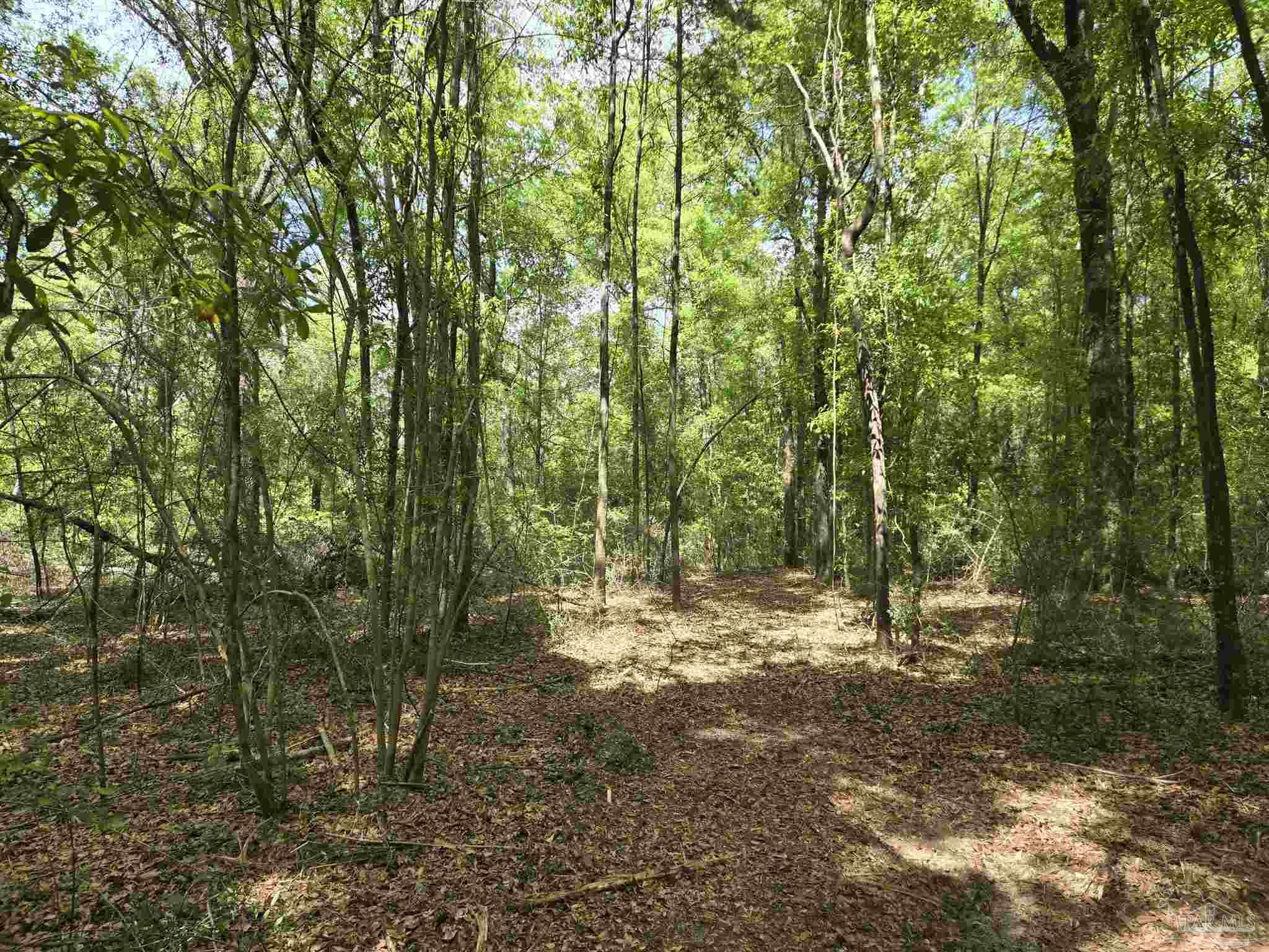 1131 Wolf Log Rd