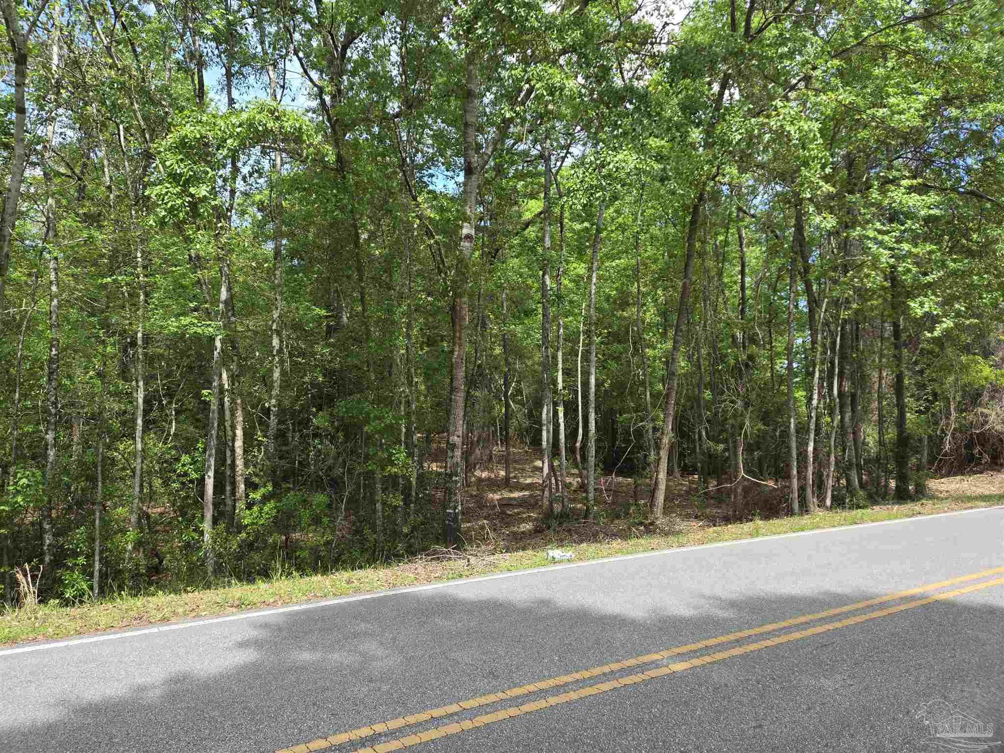 1131 Wolf Log Rd