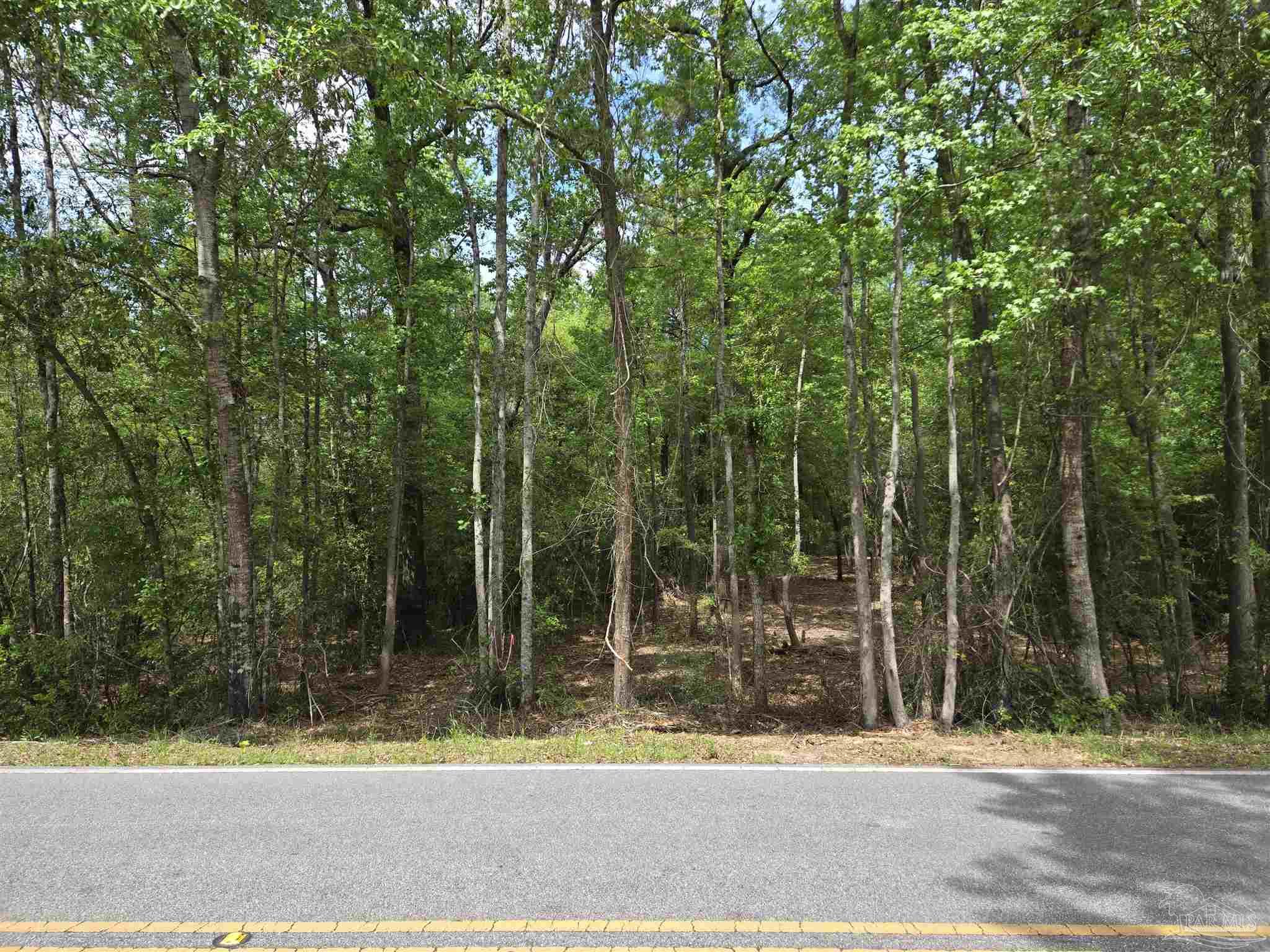 1131 Wolf Log Rd