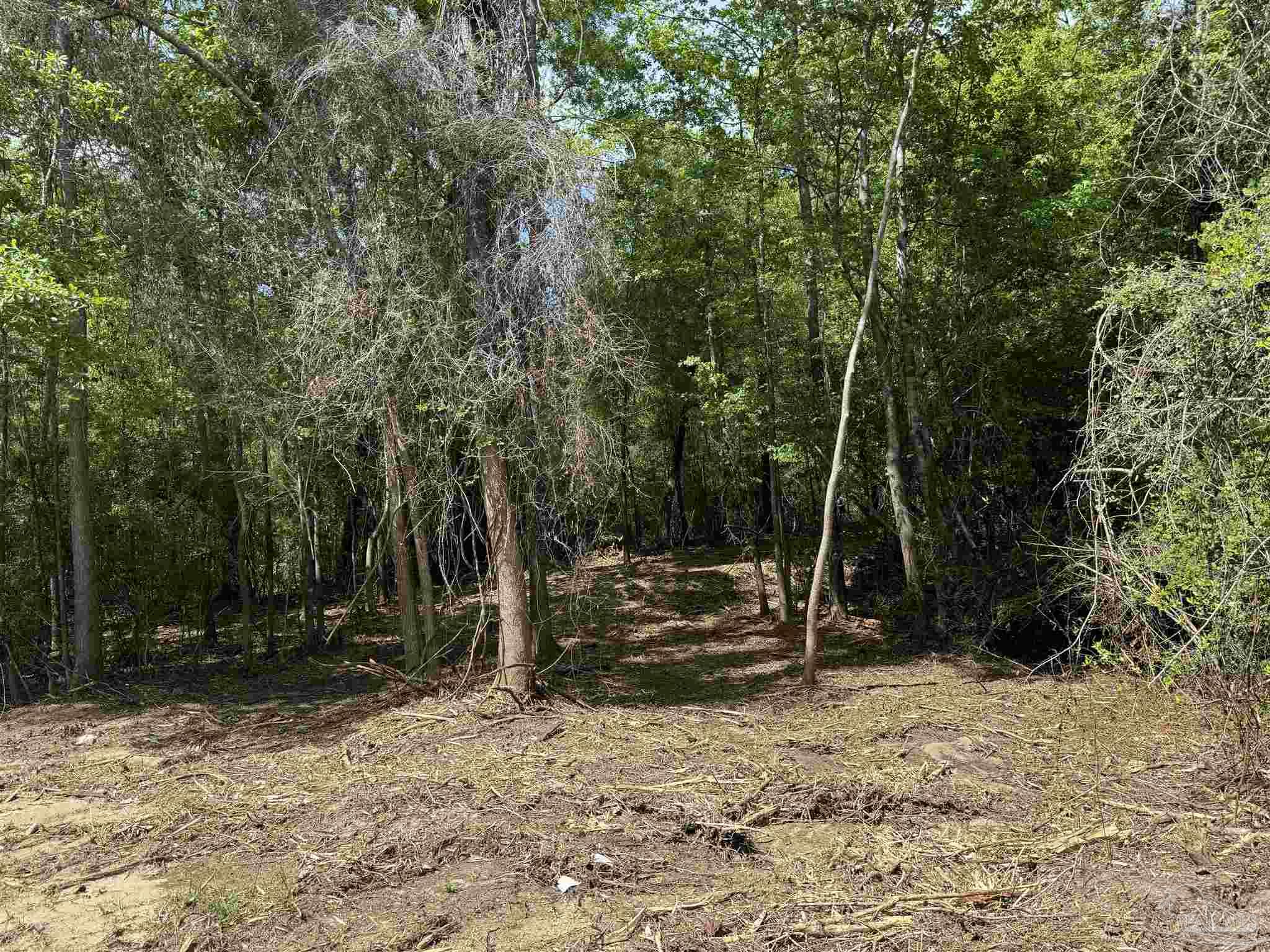 1131 Wolf Log Rd