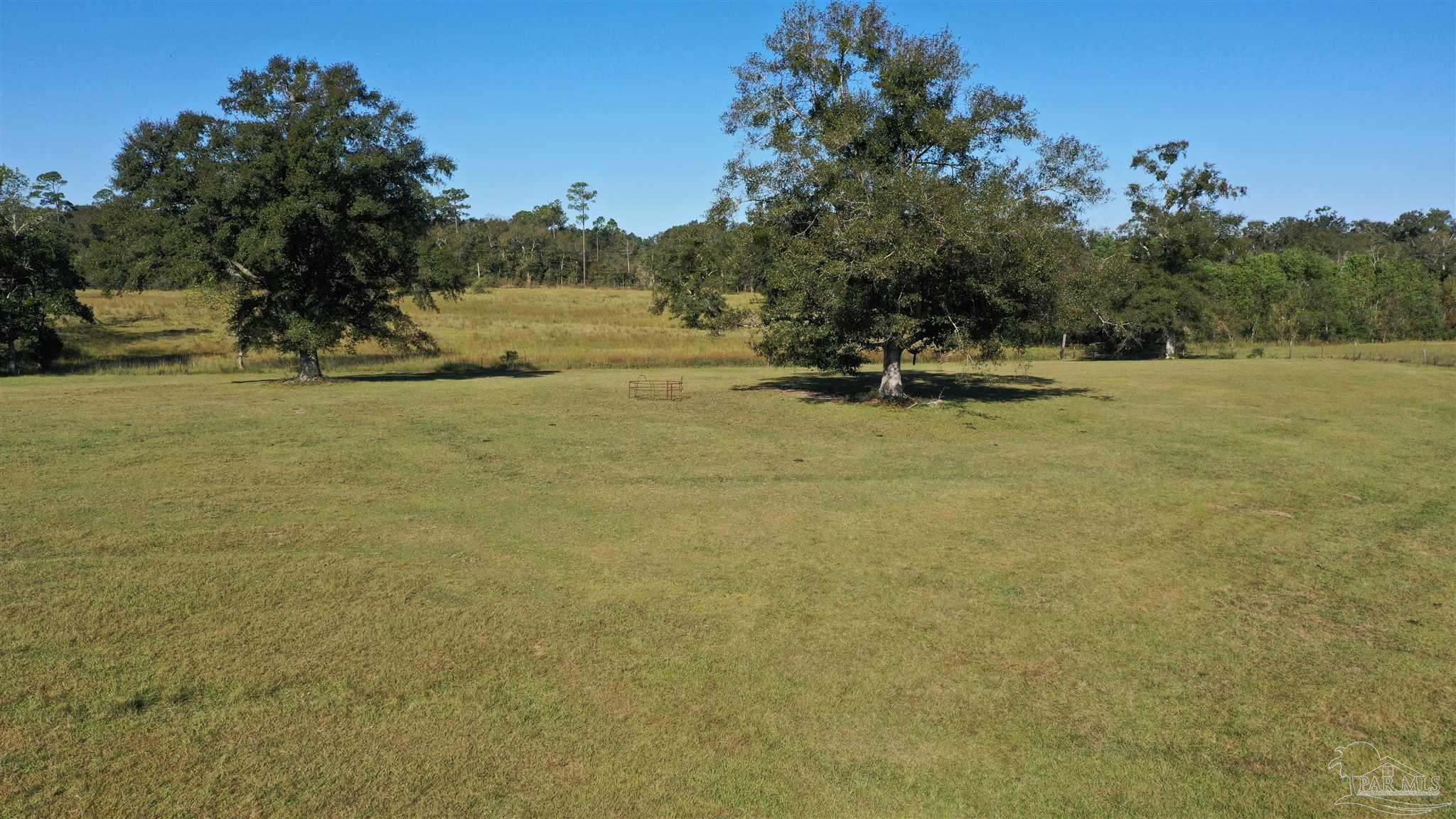 1011 Jacks Branch Rd
