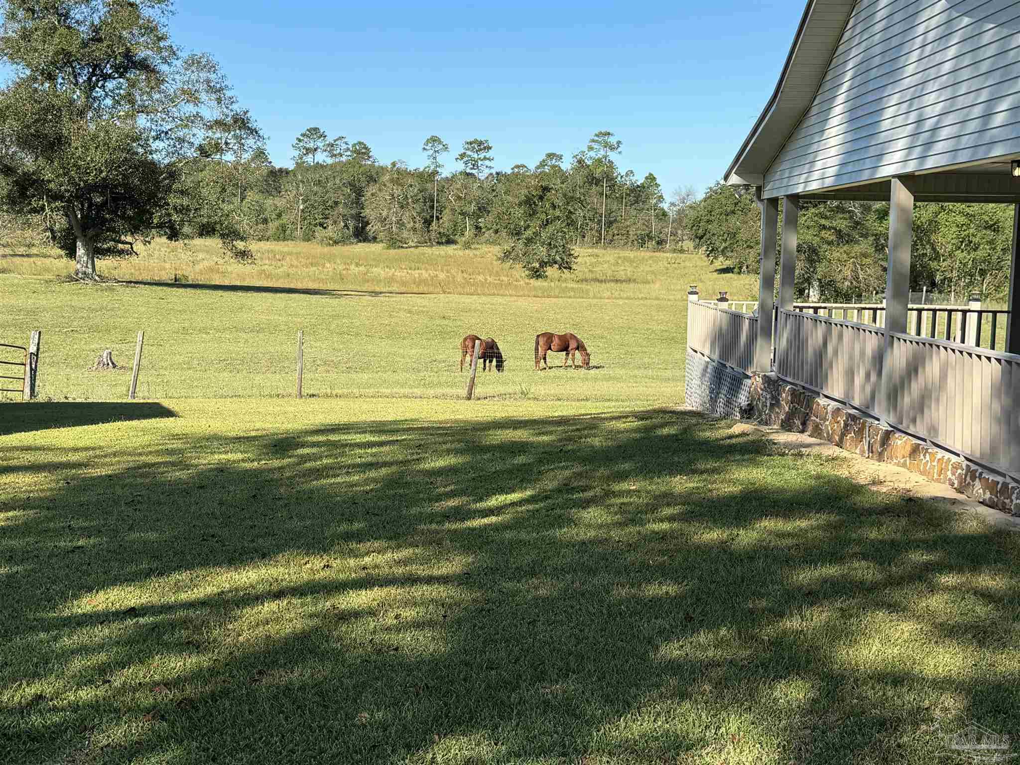 1011 Jacks Branch Rd