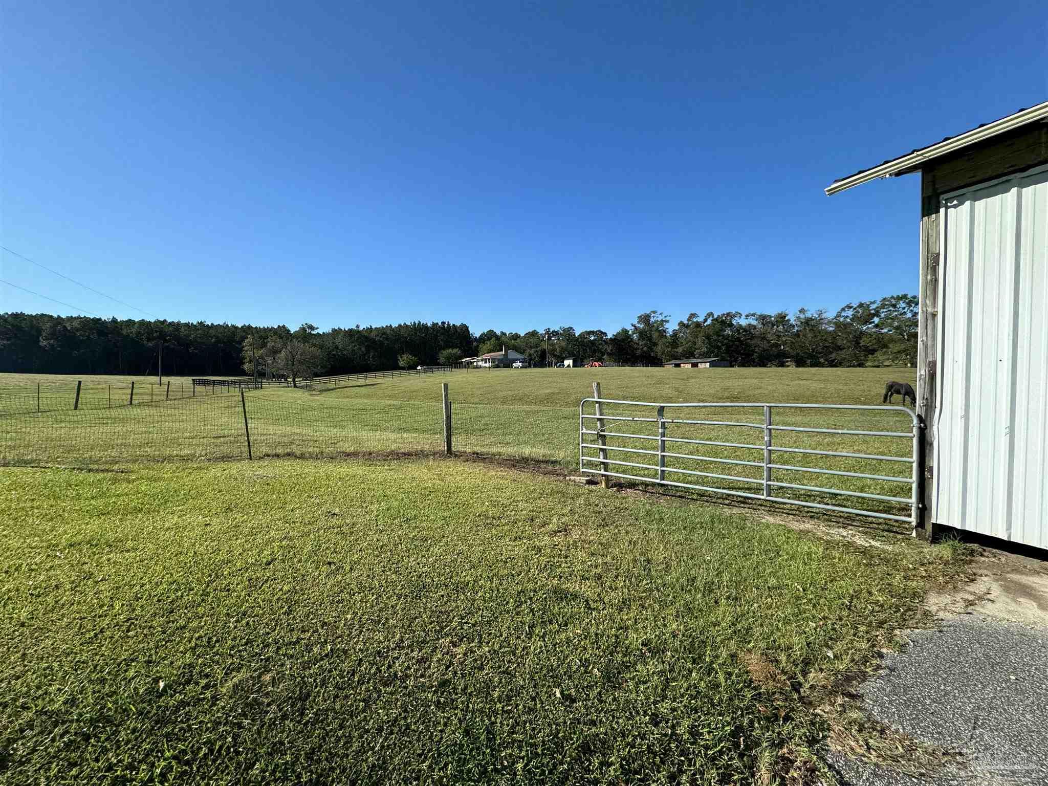 1011 Jacks Branch Rd