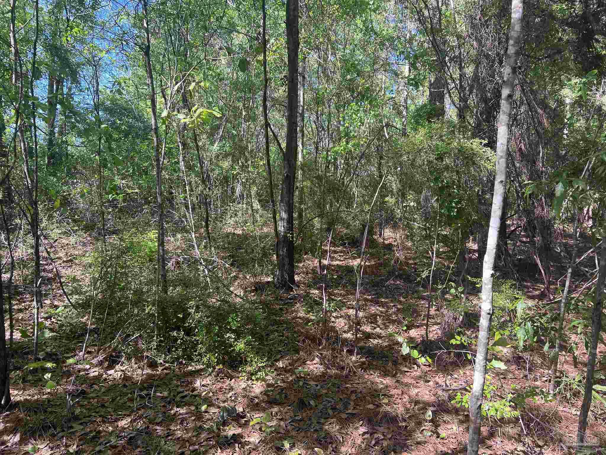 00 N Pine Barren Rd