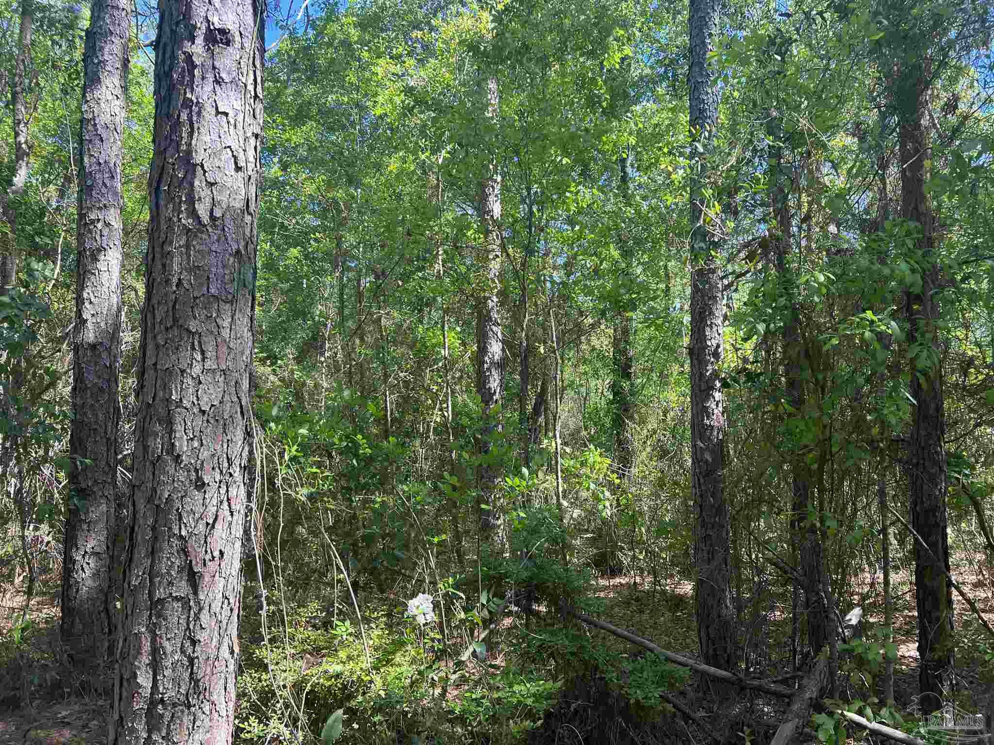 00 N Pine Barren Rd