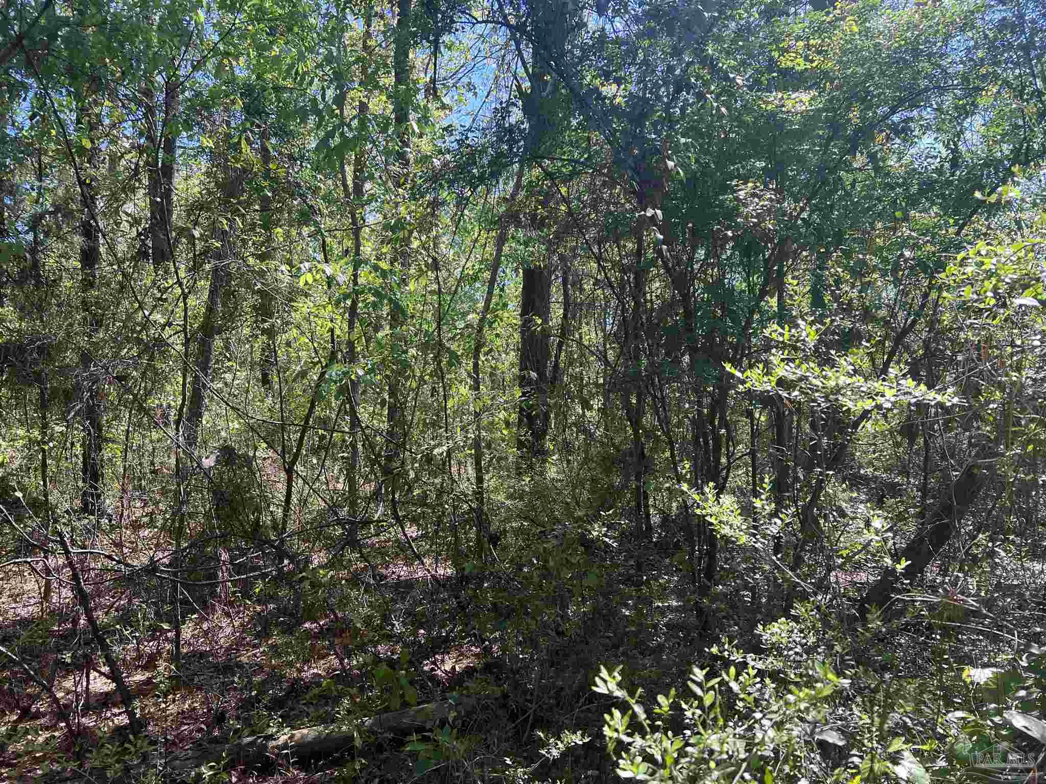 00 N Pine Barren Rd