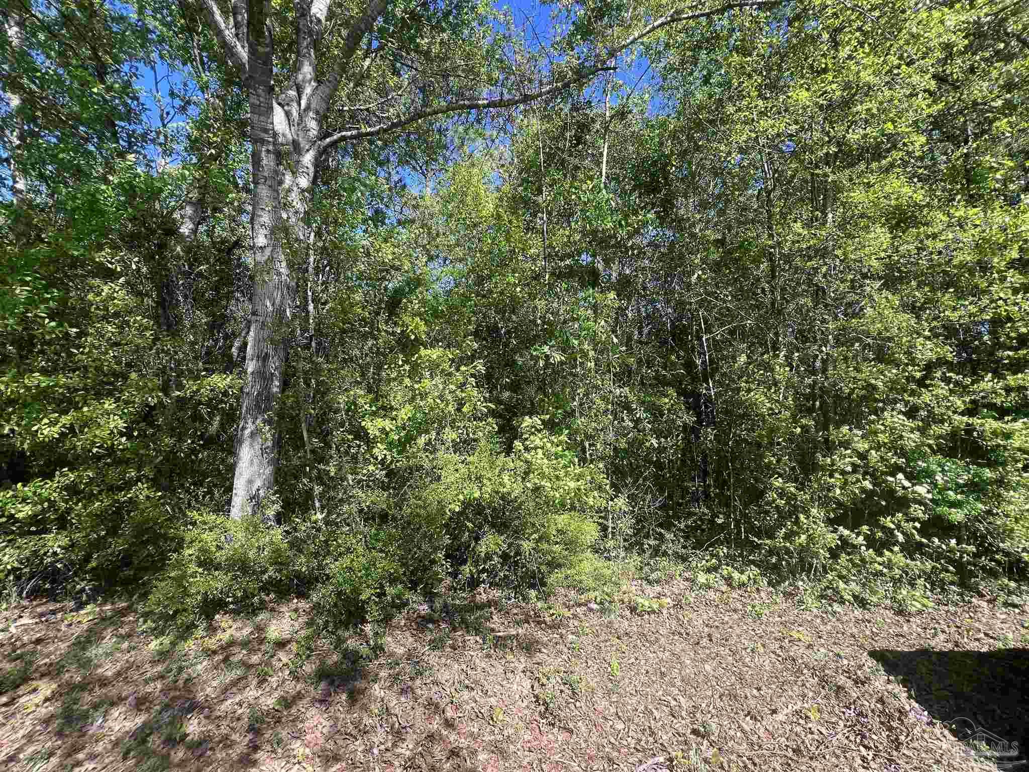 00 N Pine Barren Rd