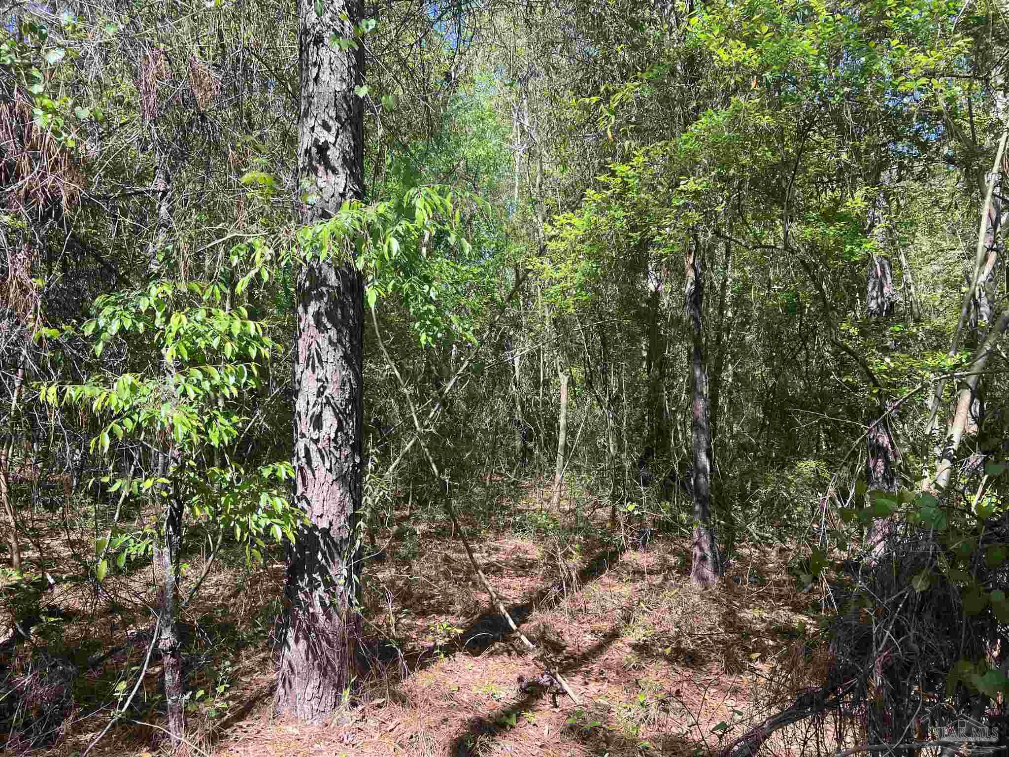 00 N Pine Barren Rd