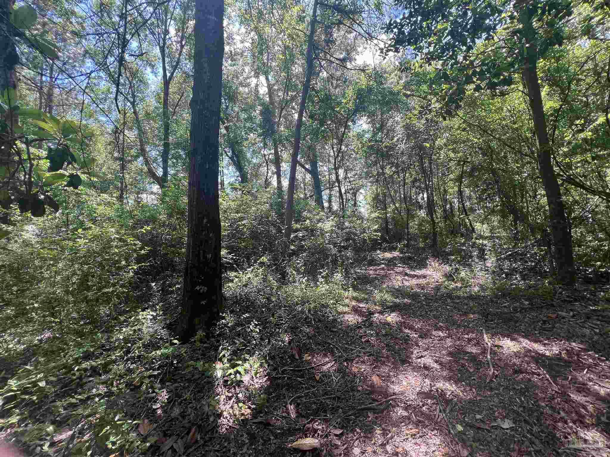 10961 Hwy 97