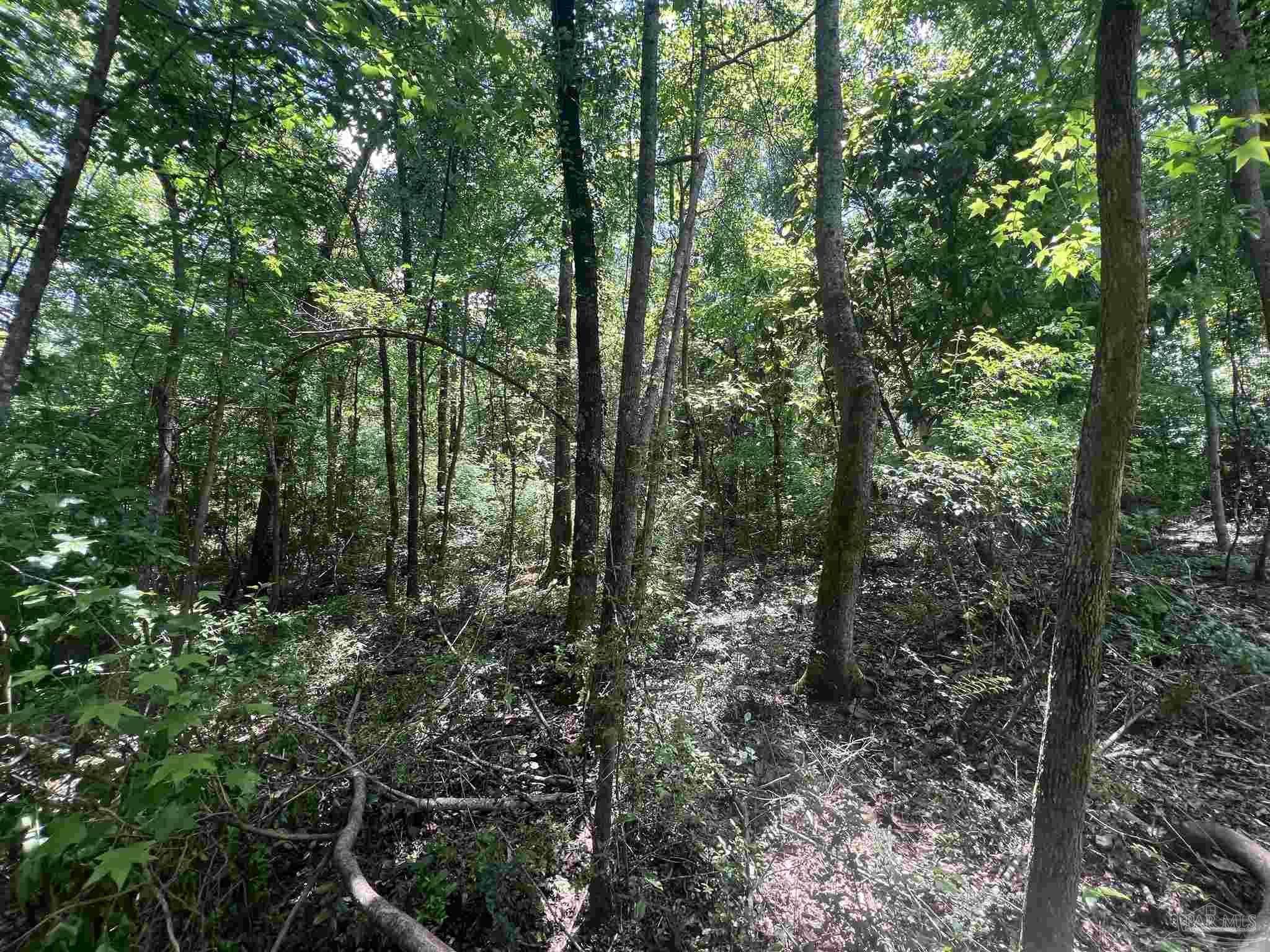 10961 Hwy 97
