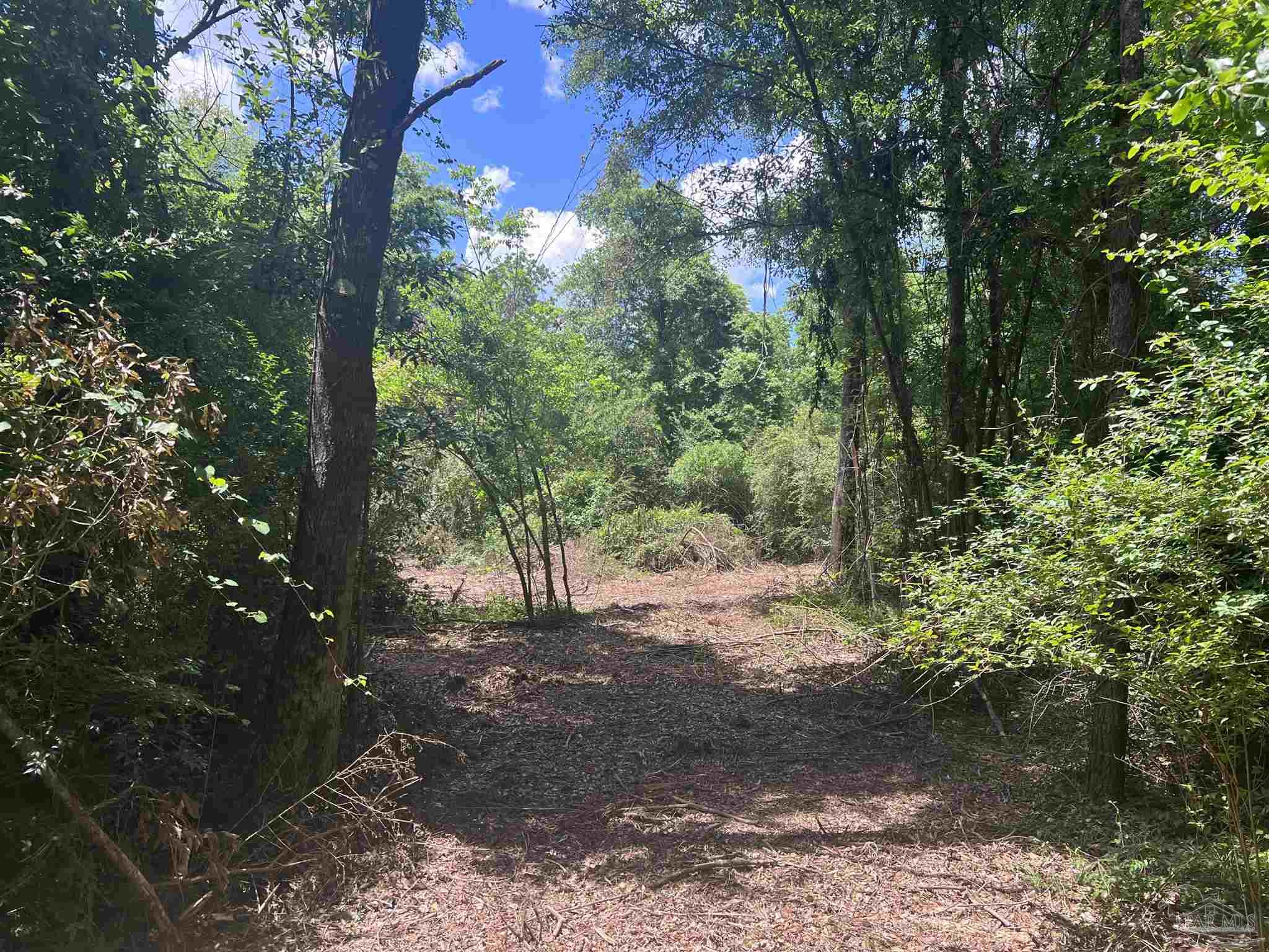 10961 Hwy 97