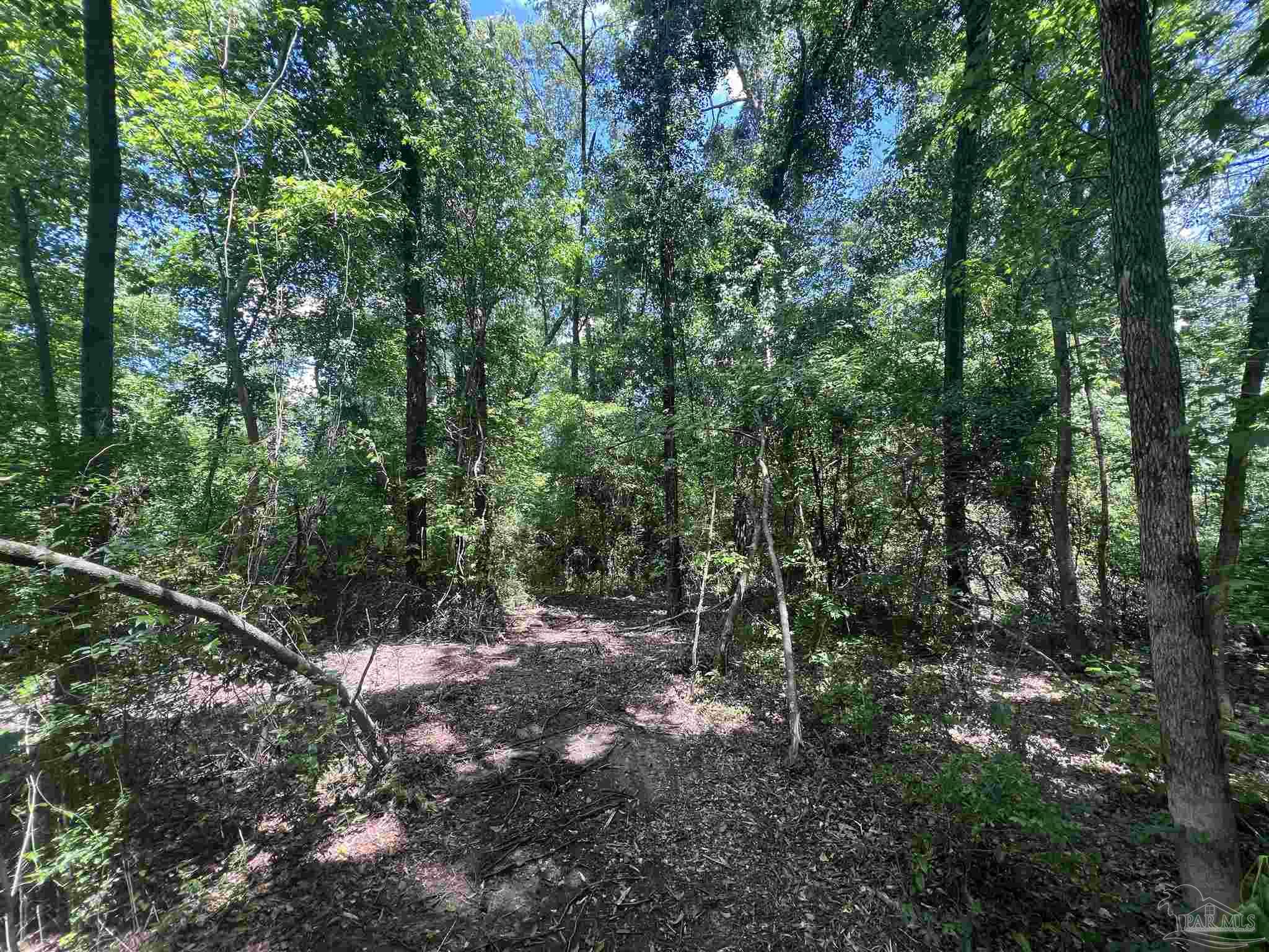 10961 Hwy 97