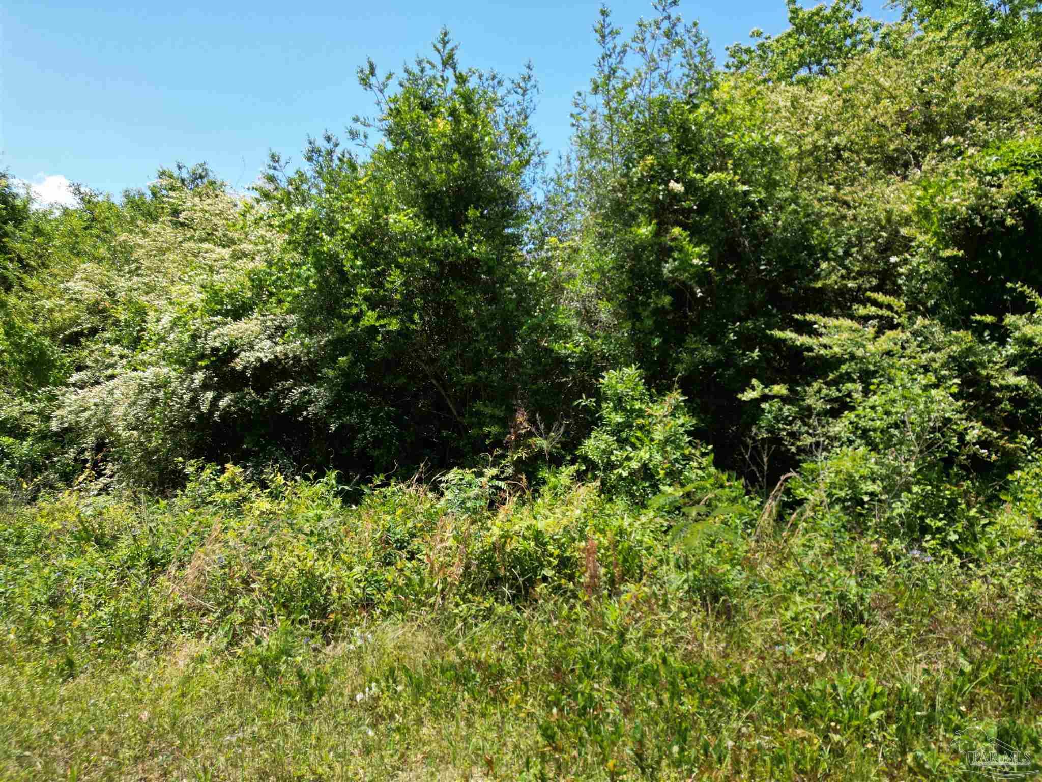 10961 Hwy 97