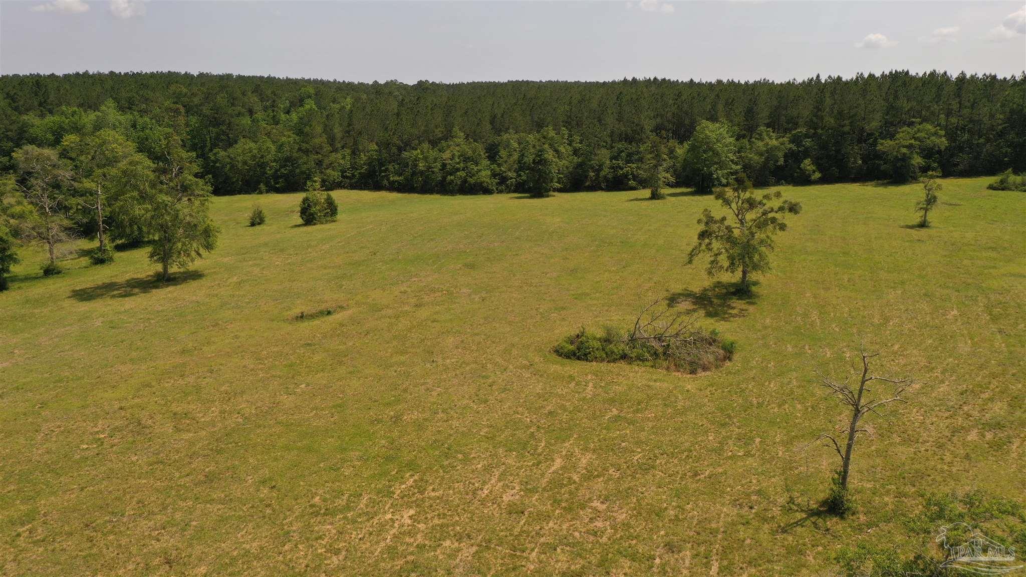 Lot 1 River Annex Rd