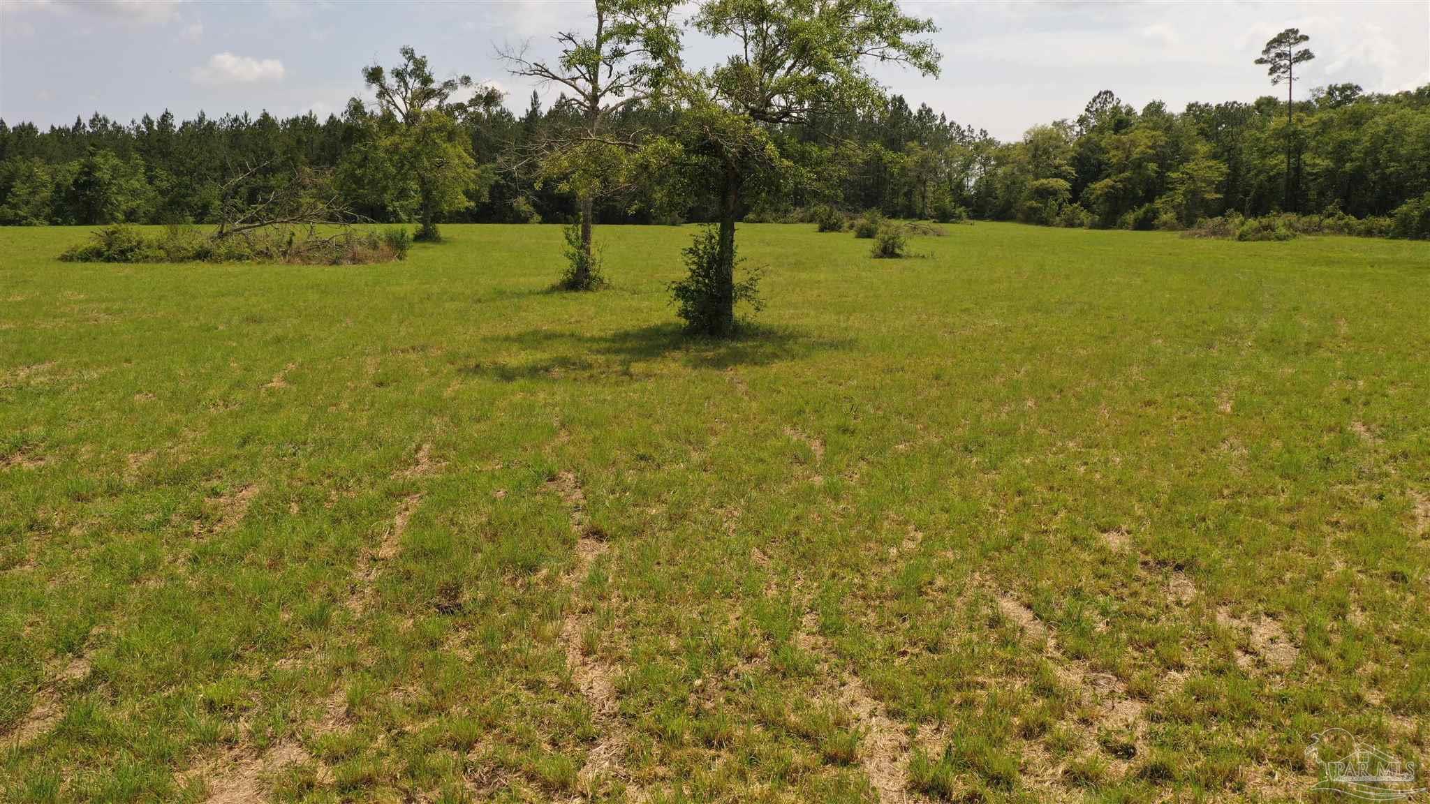 Lot 1 River Annex Rd