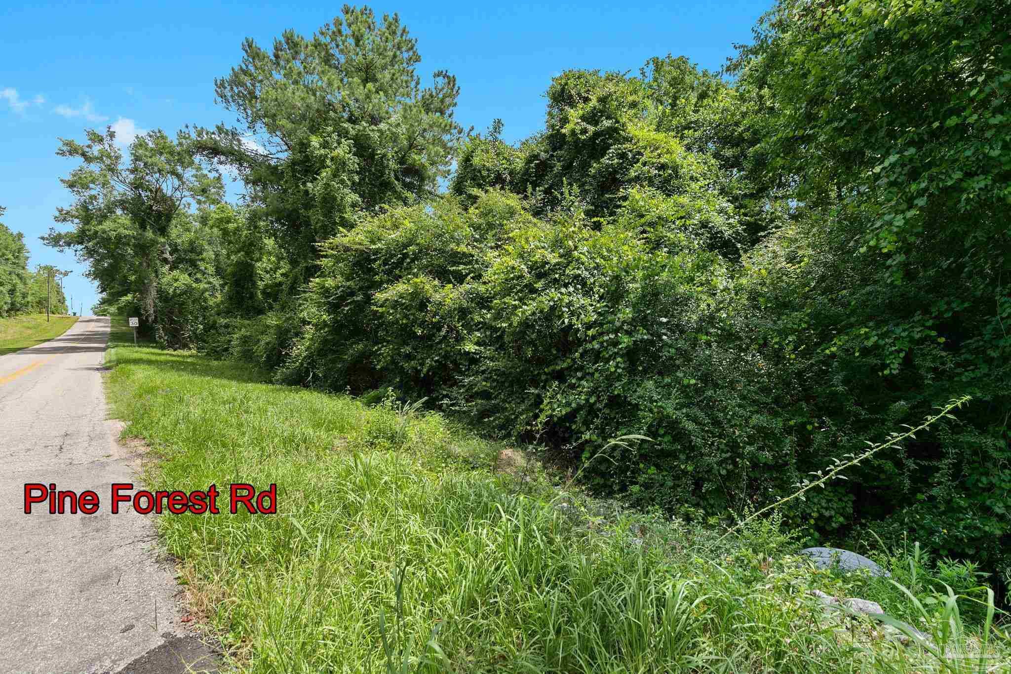 0 Pine Forest Rd