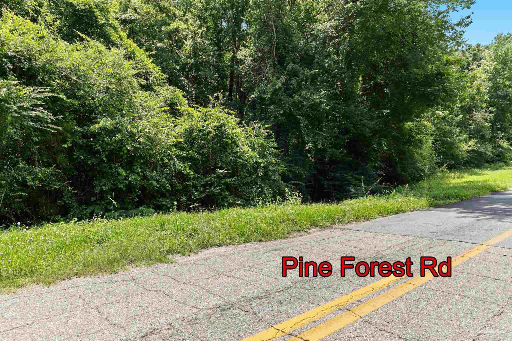 0 Pine Forest Rd