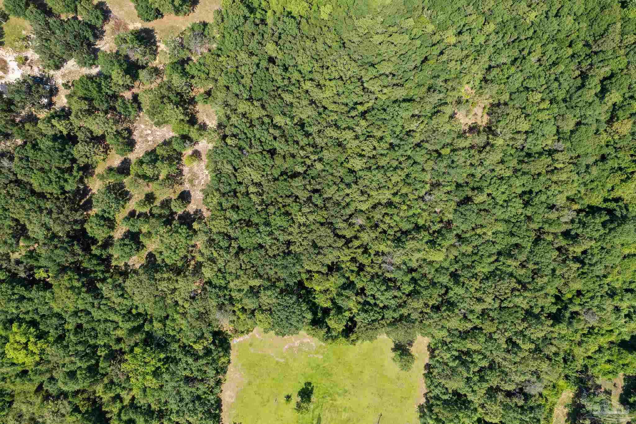 0 Pine Forest Rd