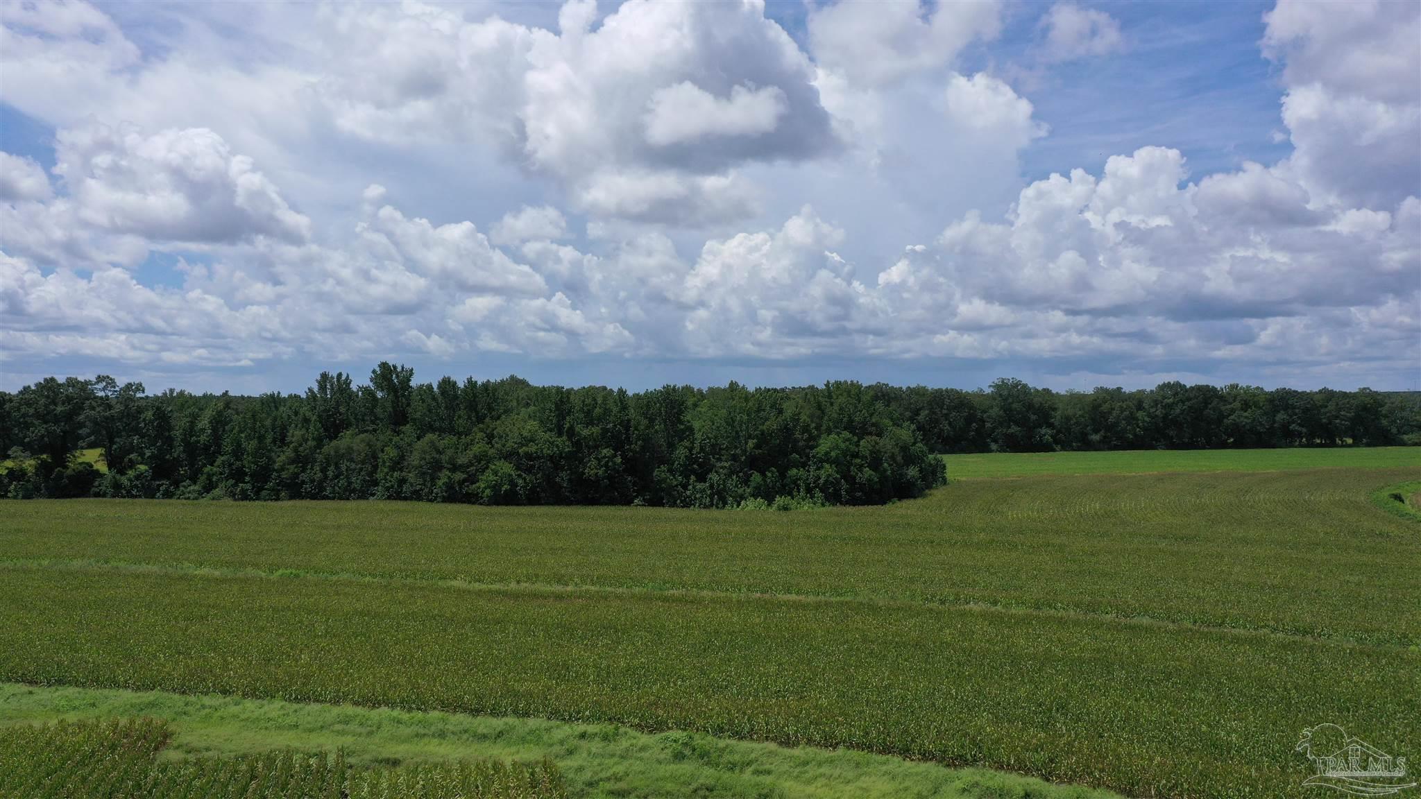 0 Bell Fork Rd