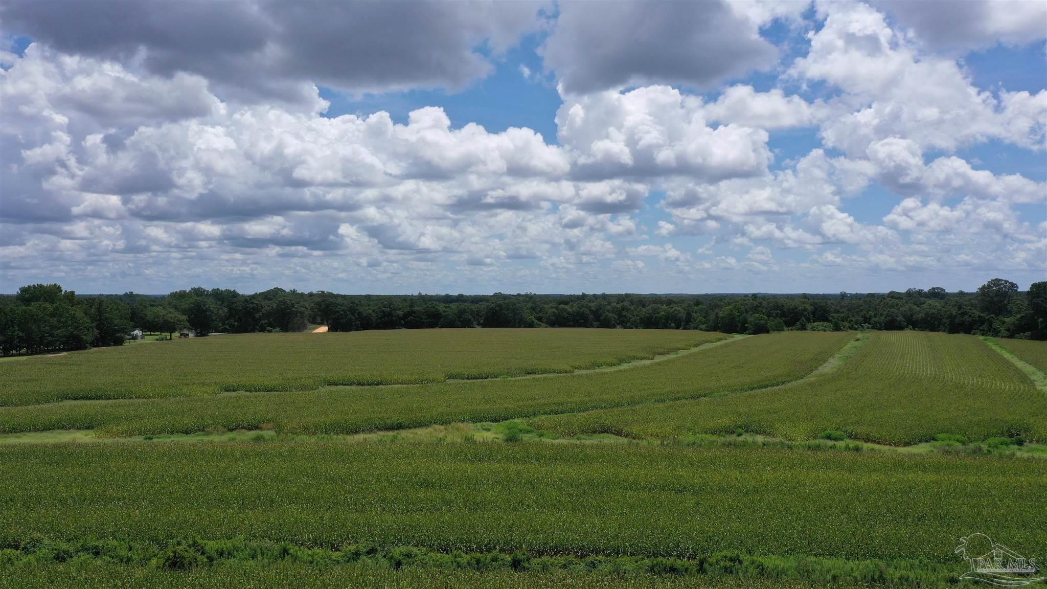 0 Bell Fork Rd
