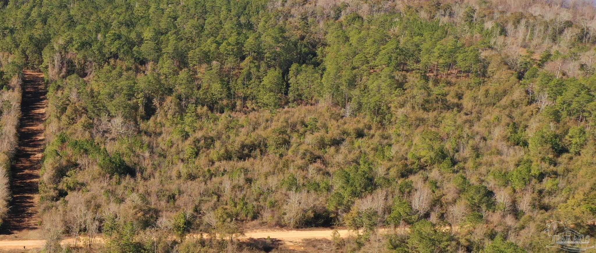1 Hwy 4
