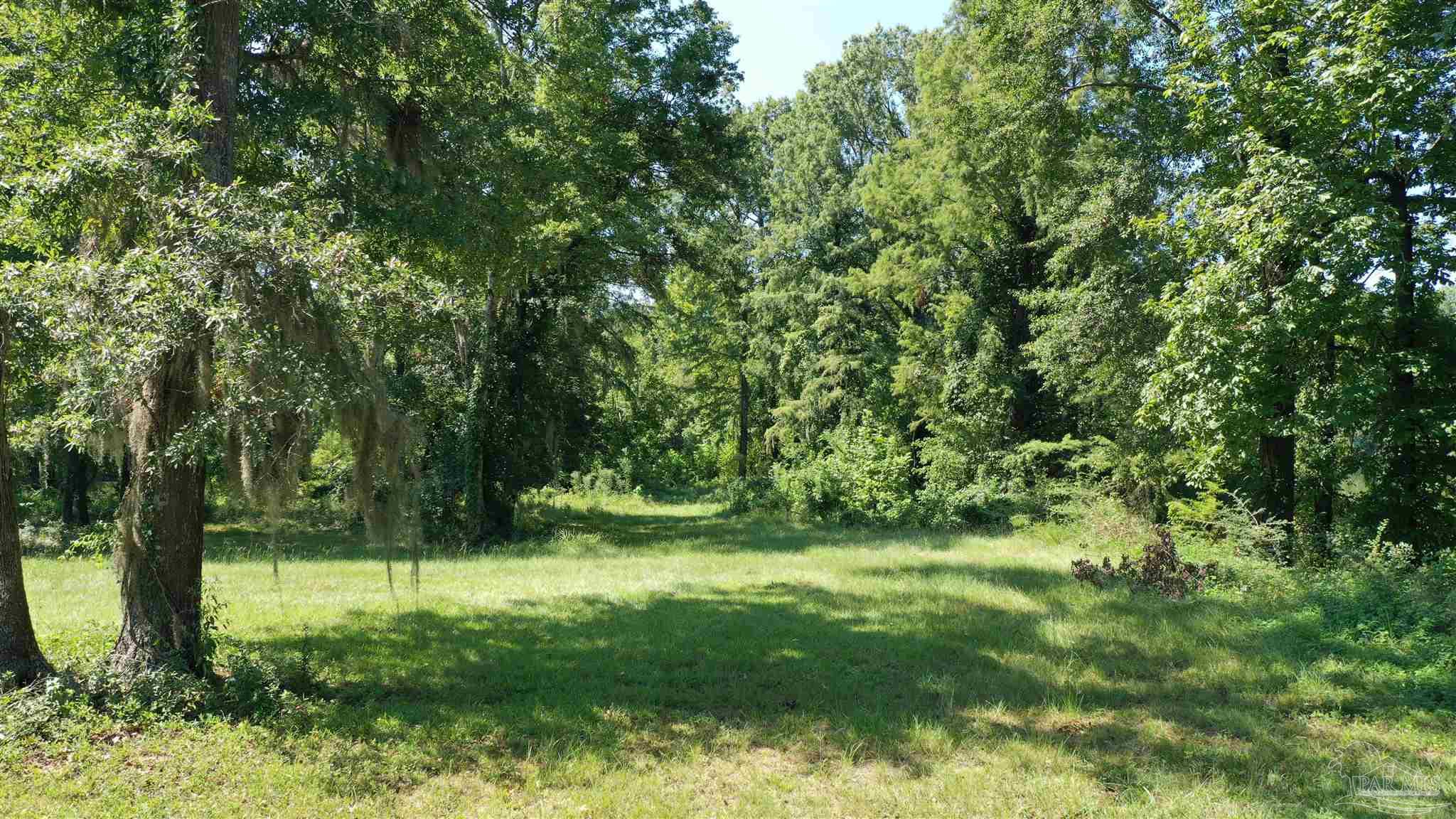 Lot 21 Judge Greene Pl # 1637