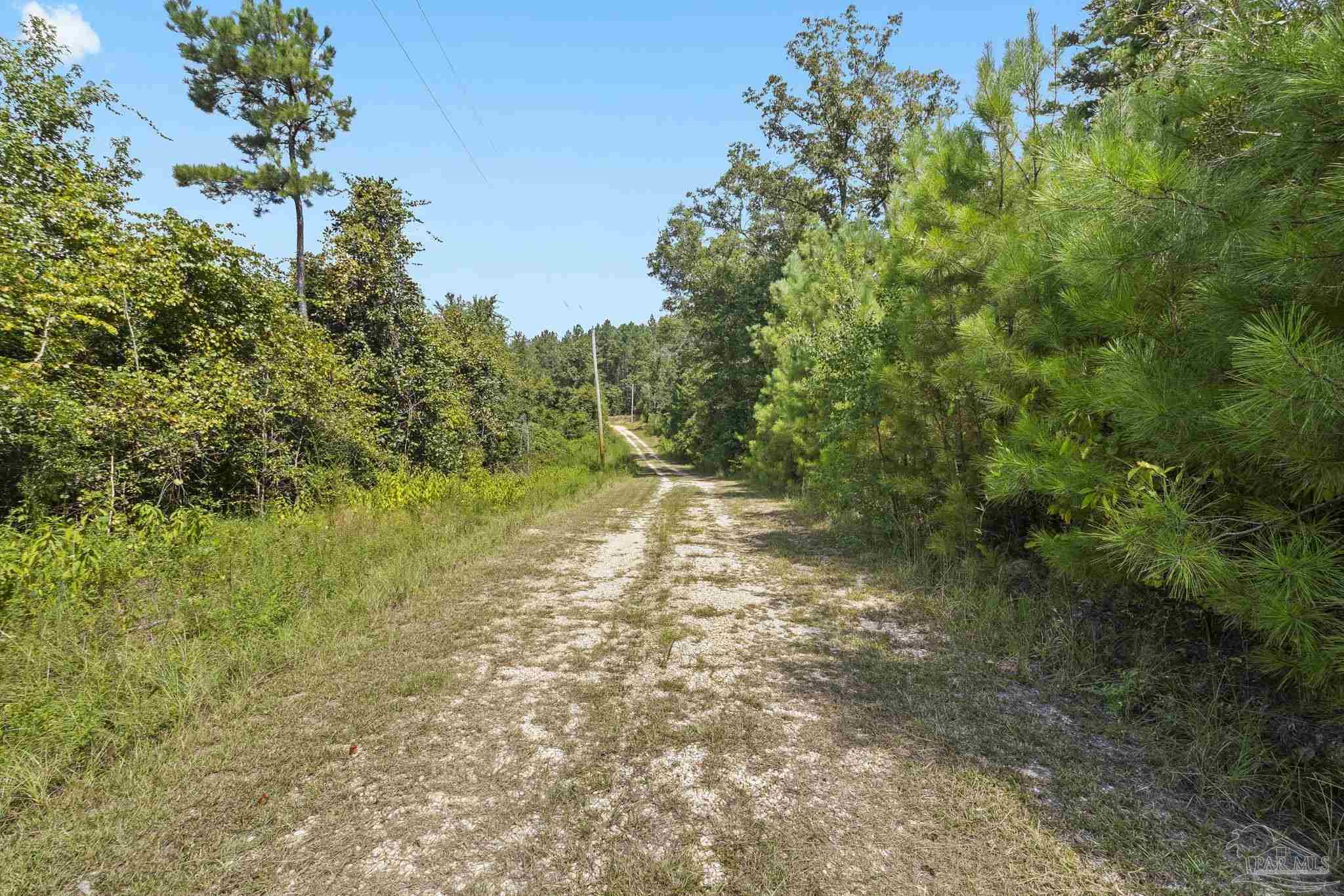 13155 Hwy 59