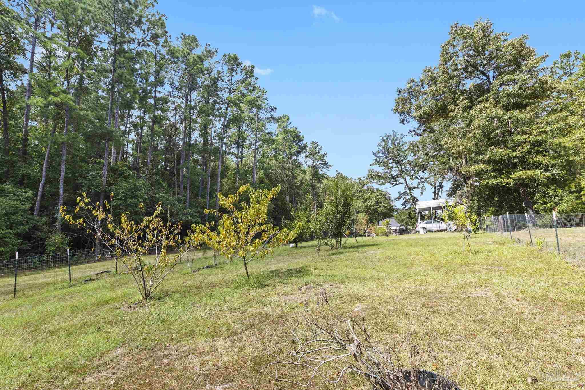 13155 Hwy 59