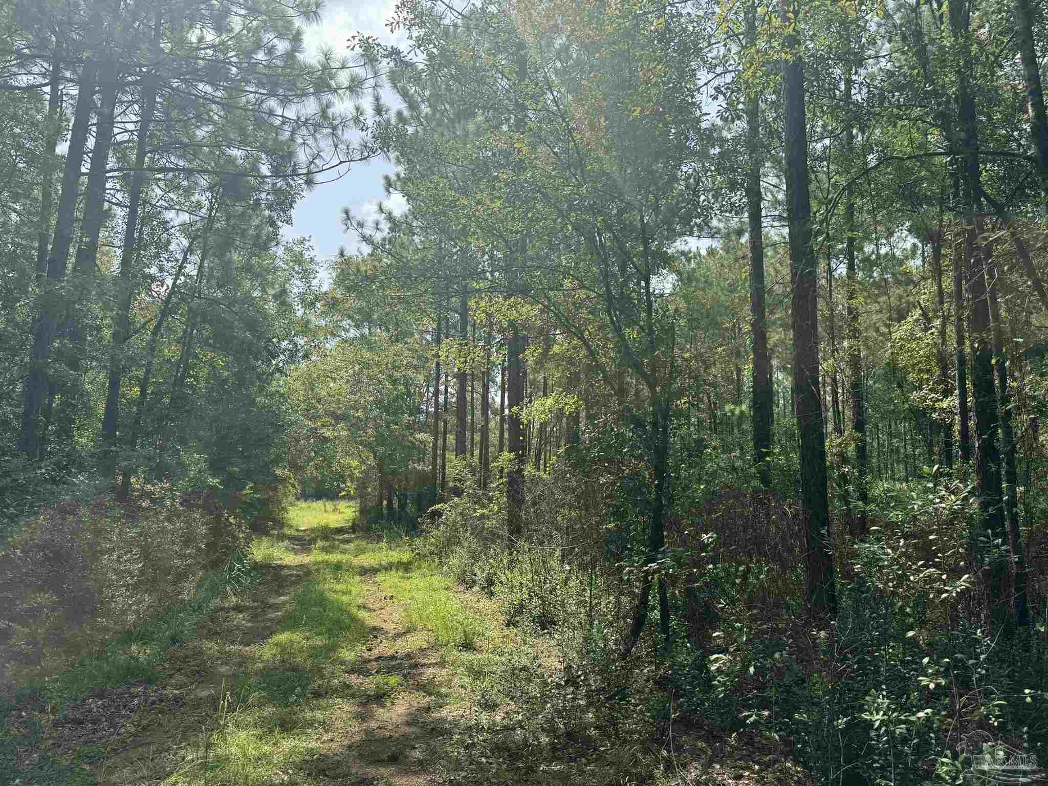 0 Nokomis Rd