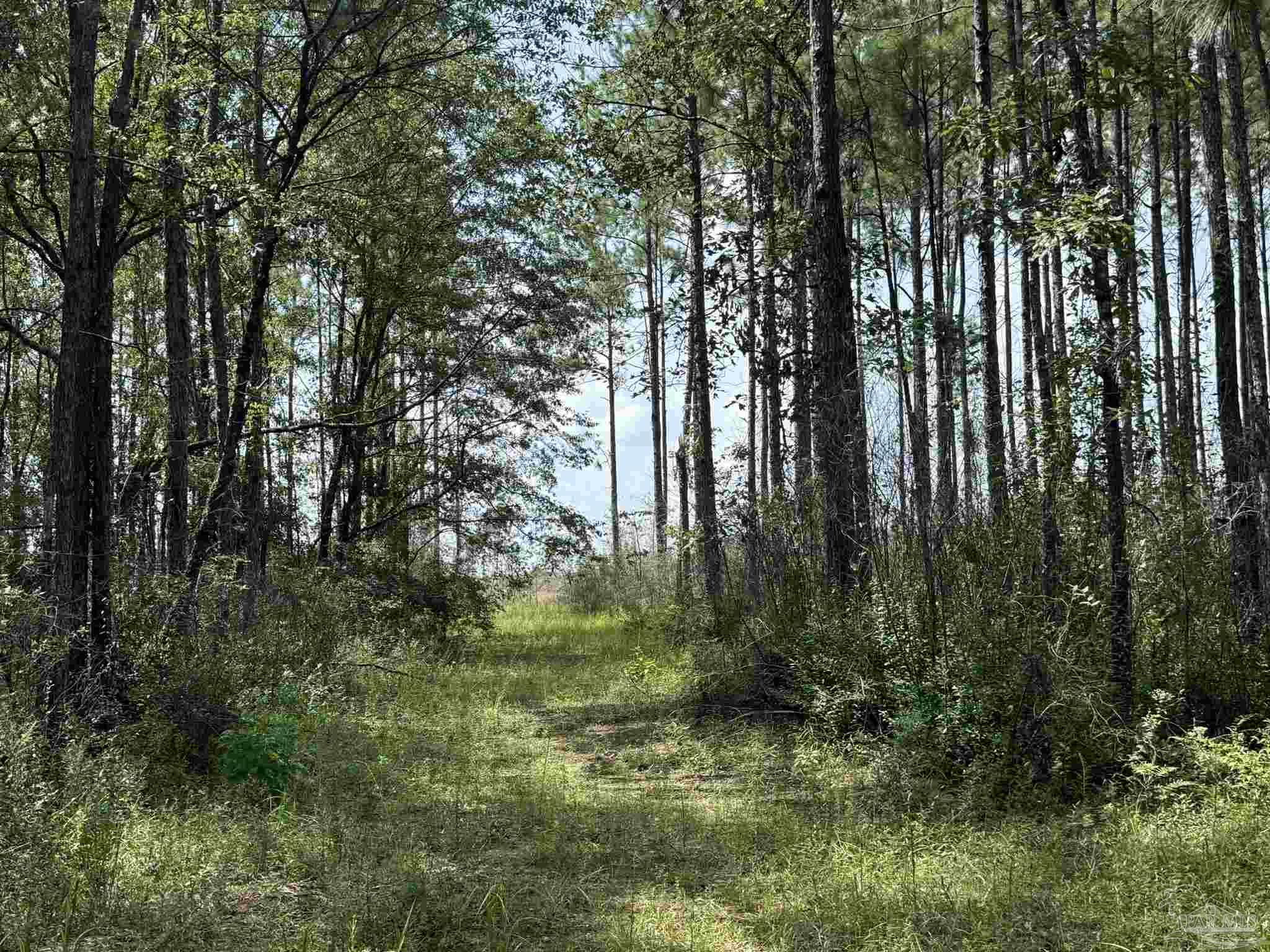 0 Nokomis Rd