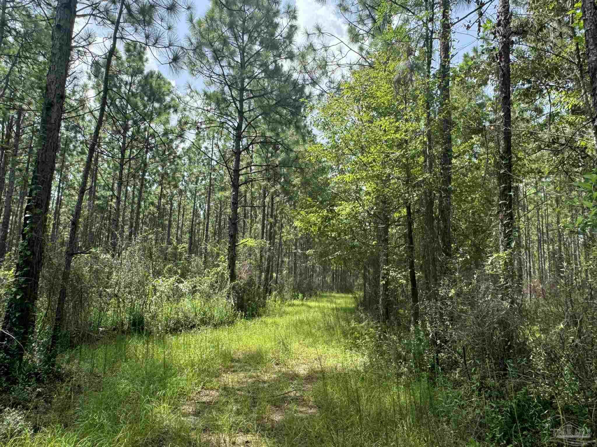 0 Nokomis Rd