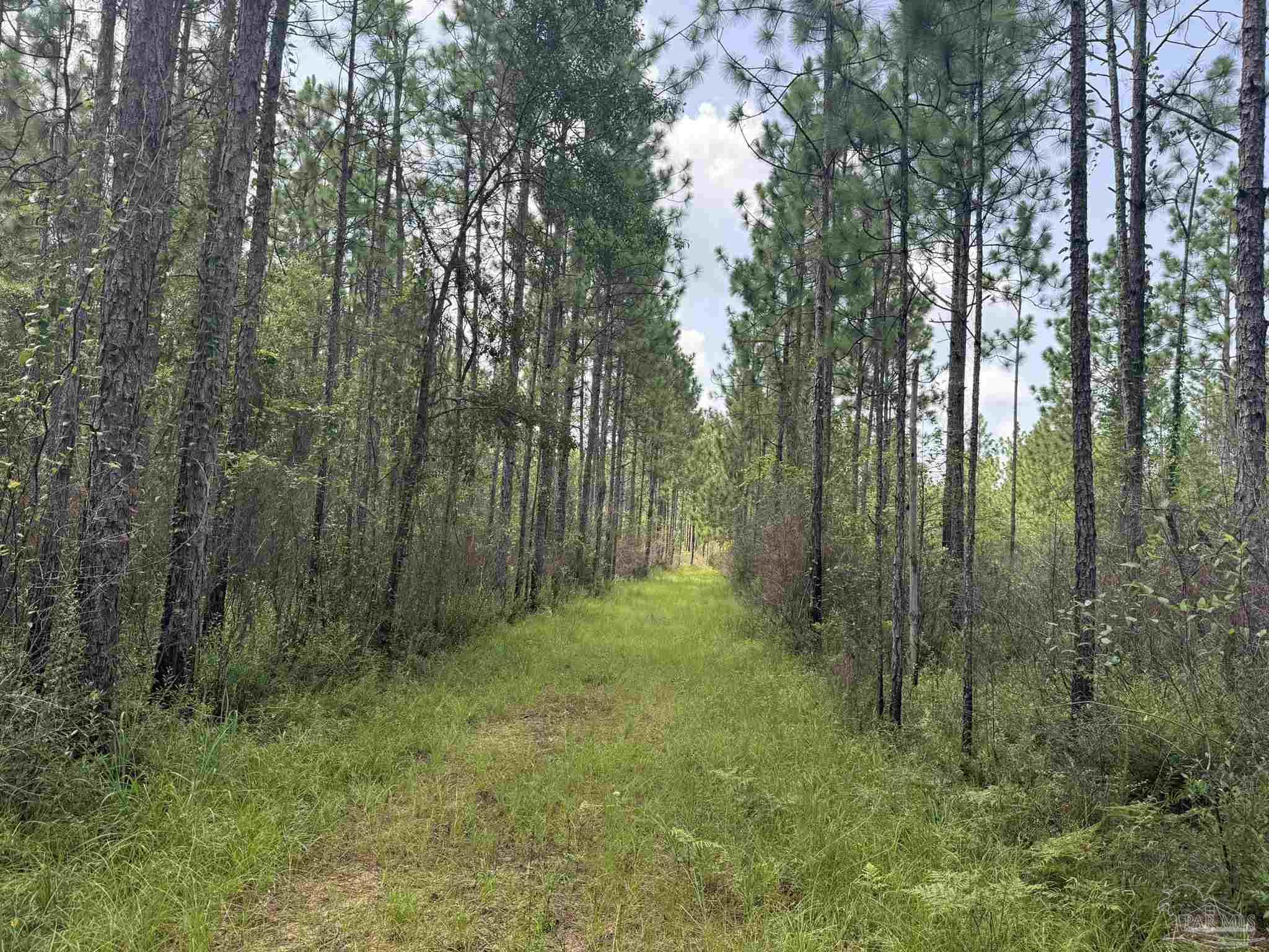 0 Nokomis Rd