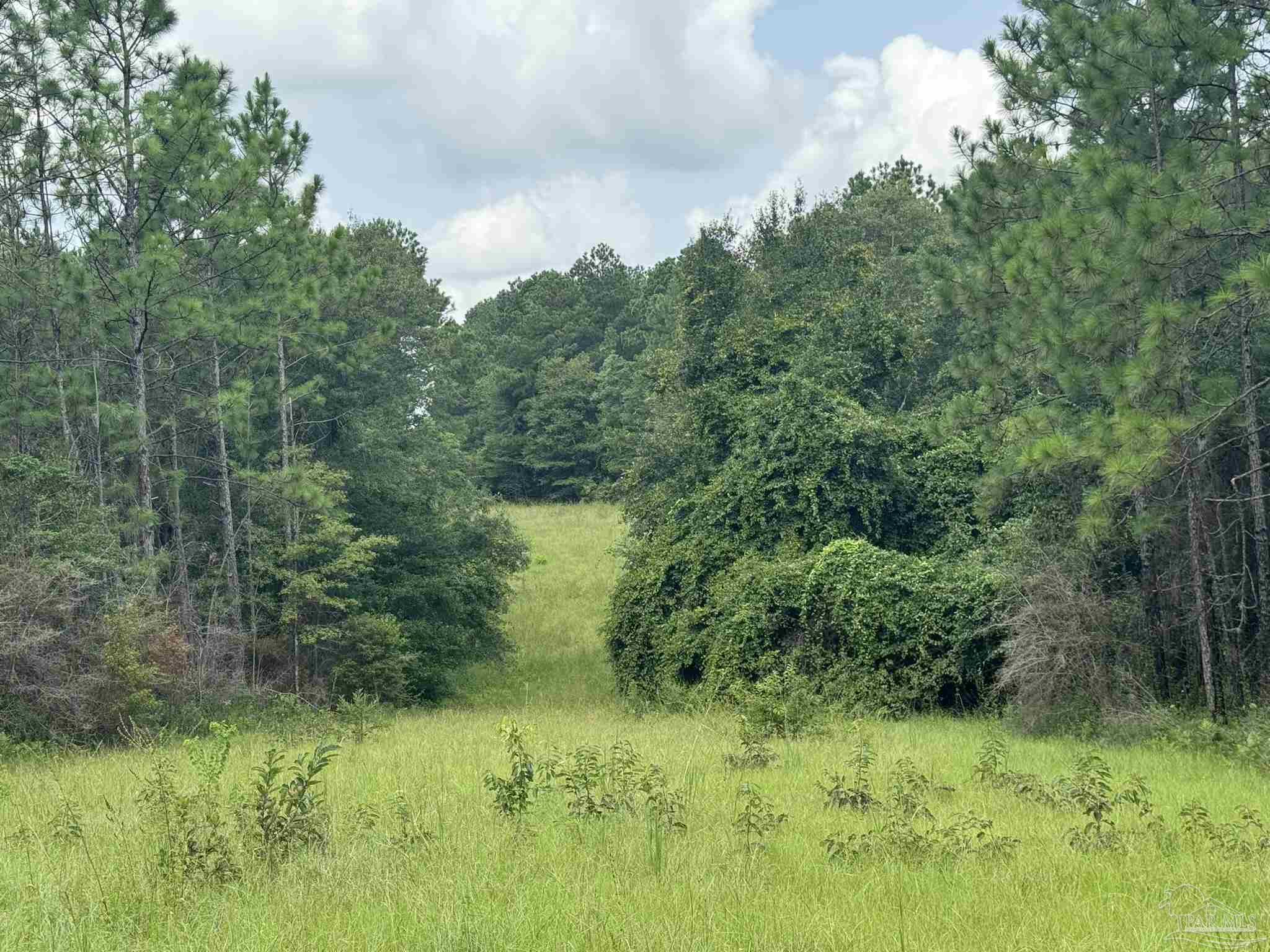 0 Nokomis Rd