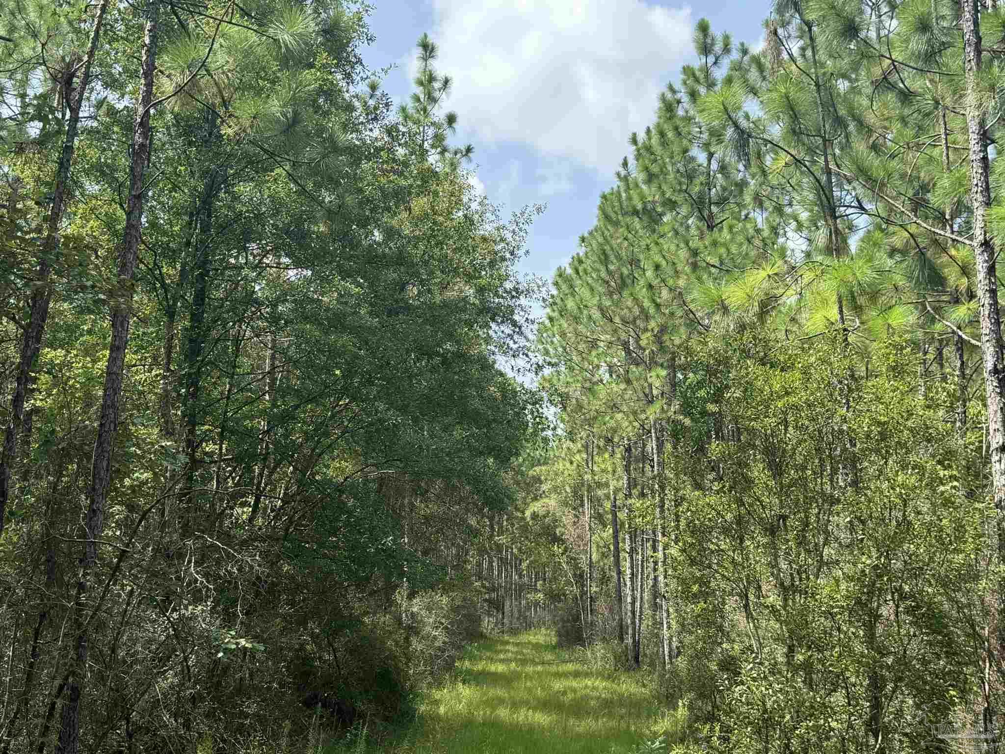 0 Nokomis Rd