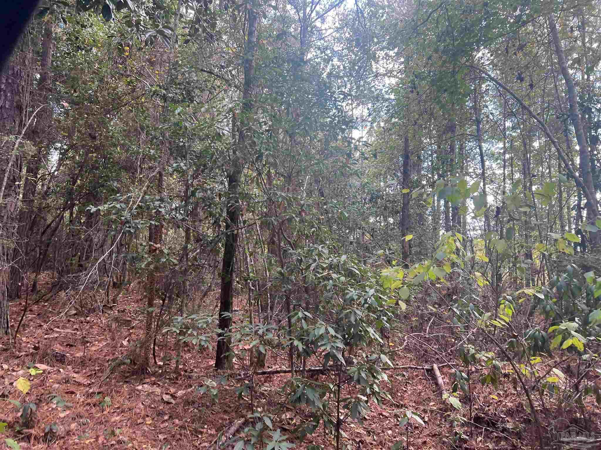 00 Oil Well Rd
