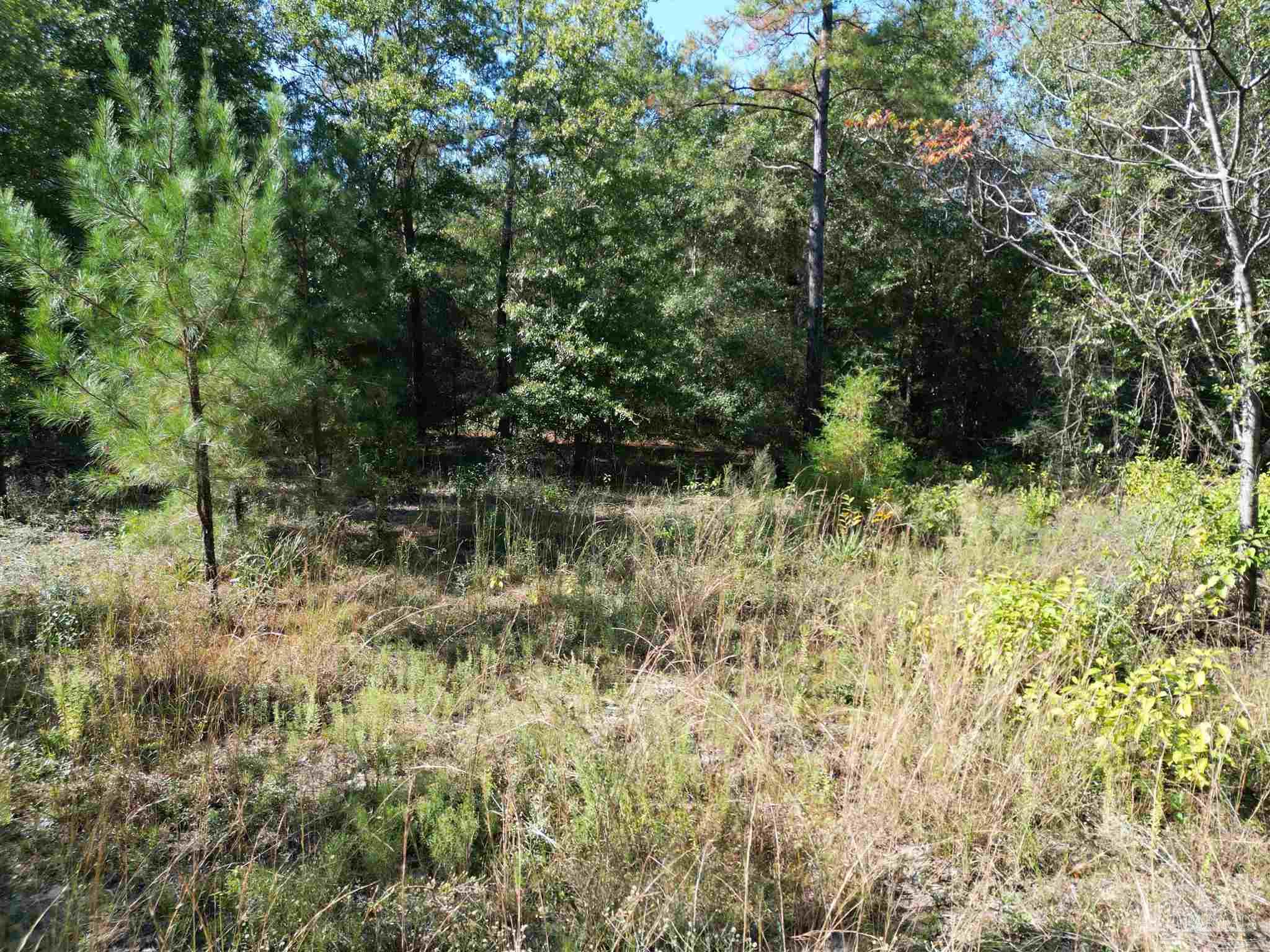 00 Oil Well Rd