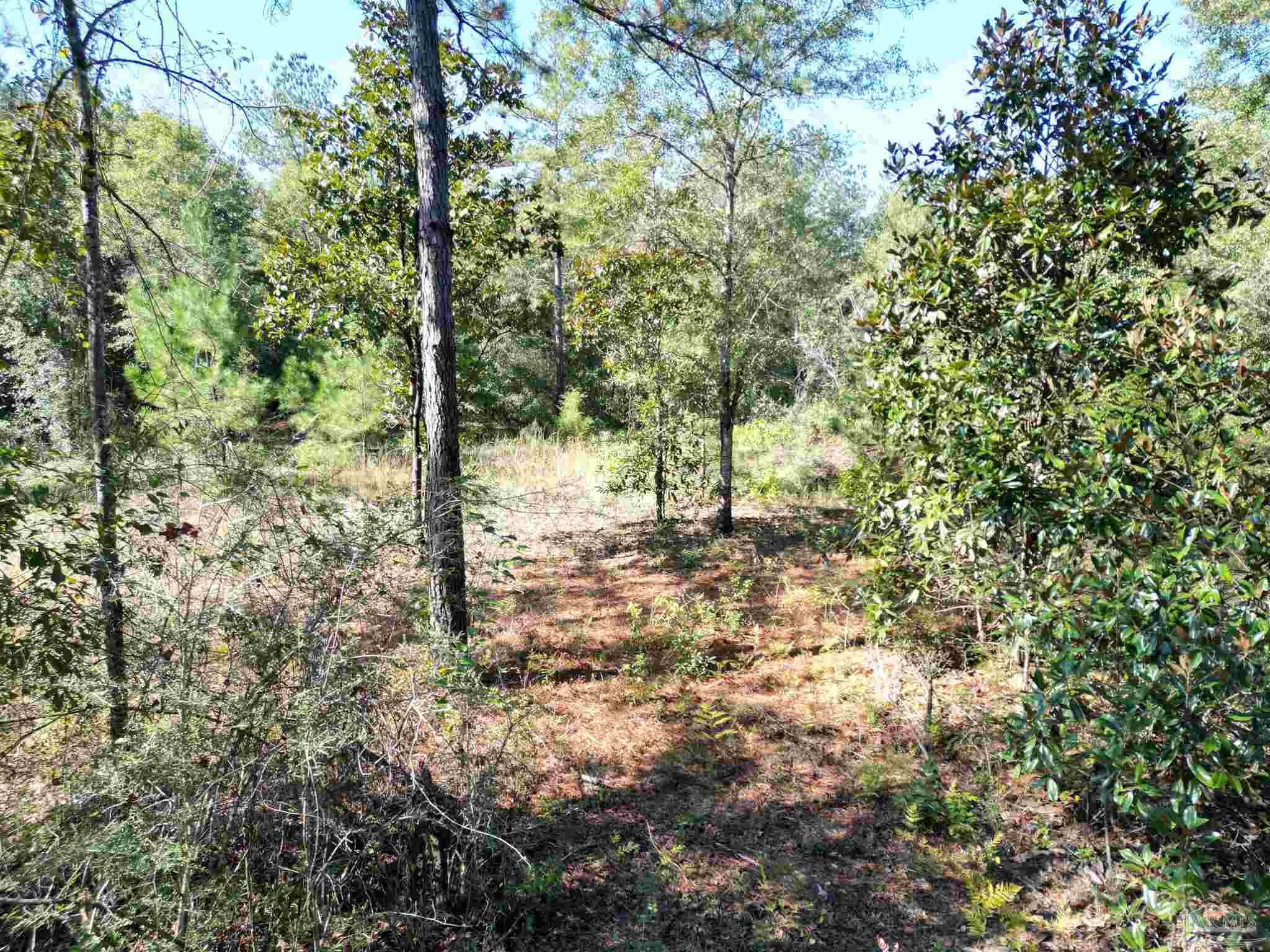 00 Oil Well Rd