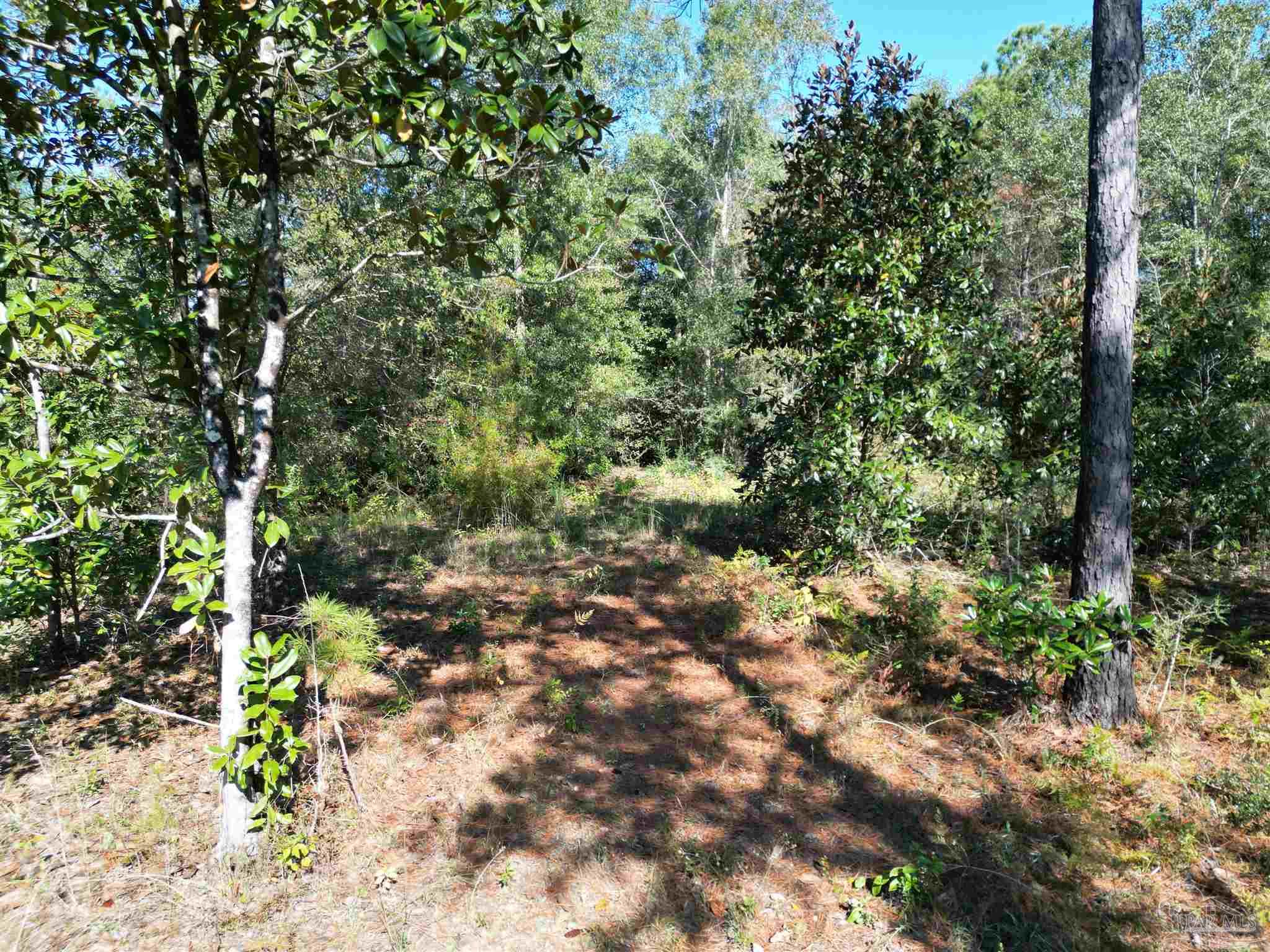 00 Oil Well Rd