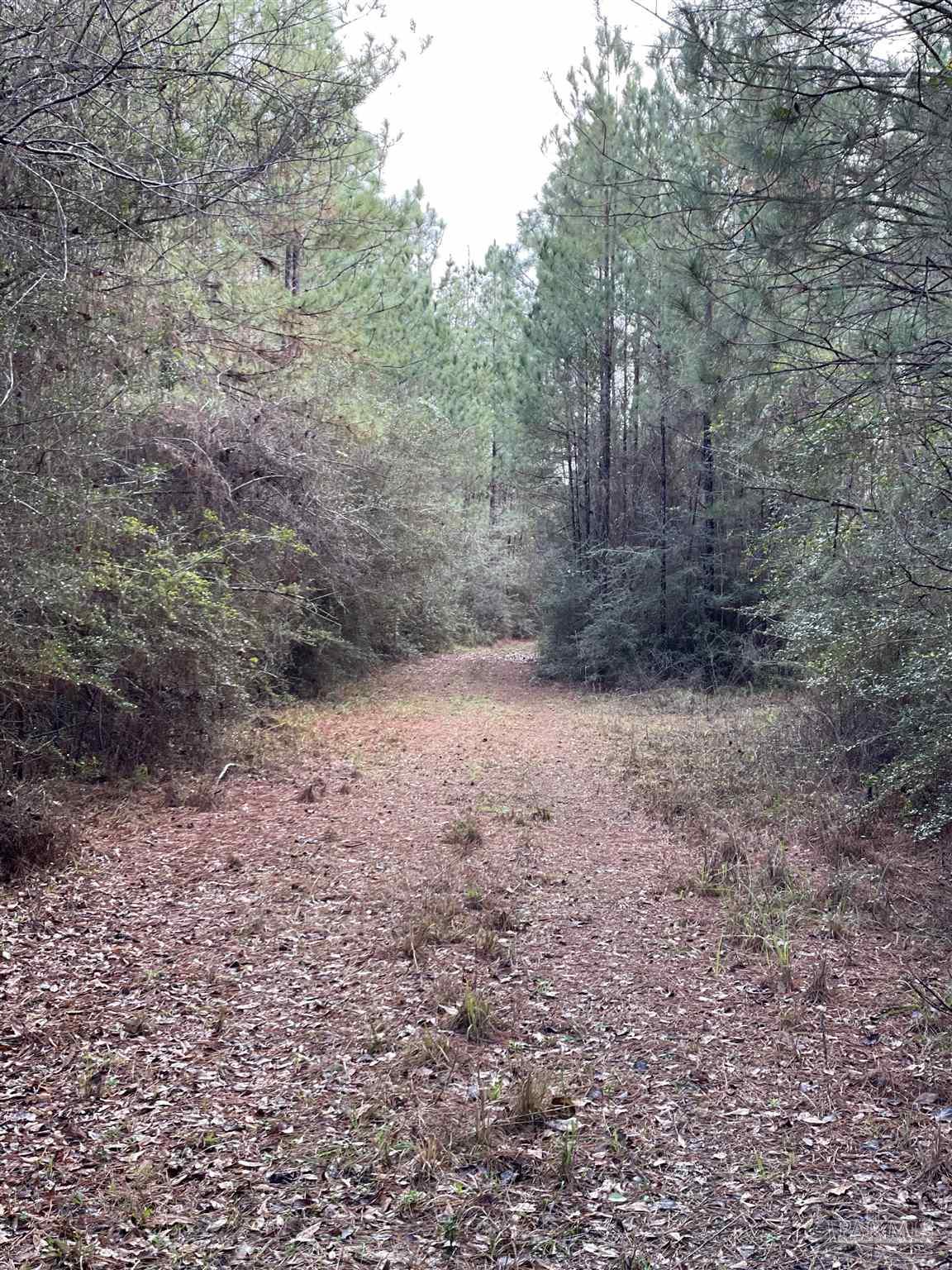 3700 Block Hwy 168