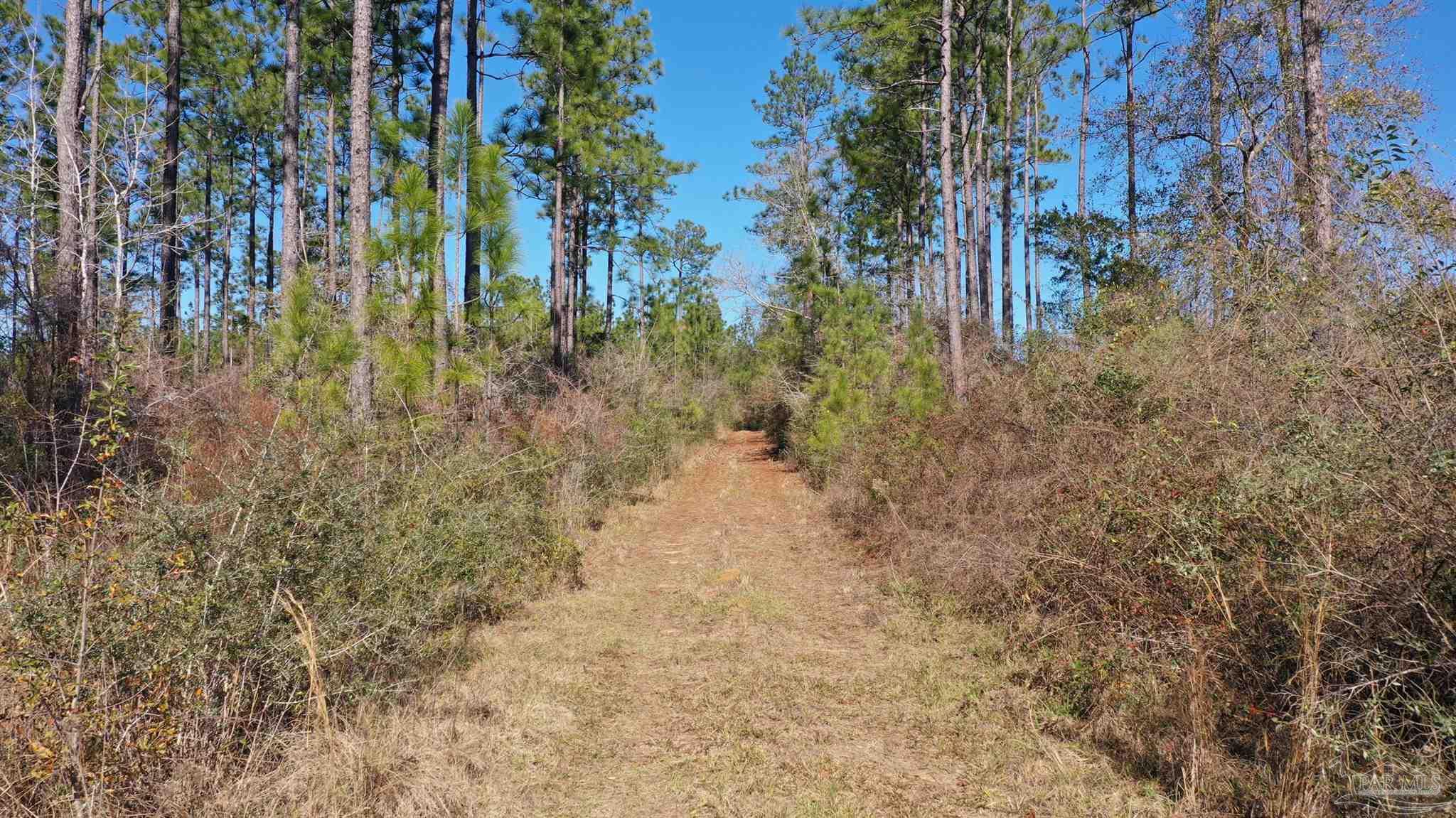 3700 Block Hwy 168