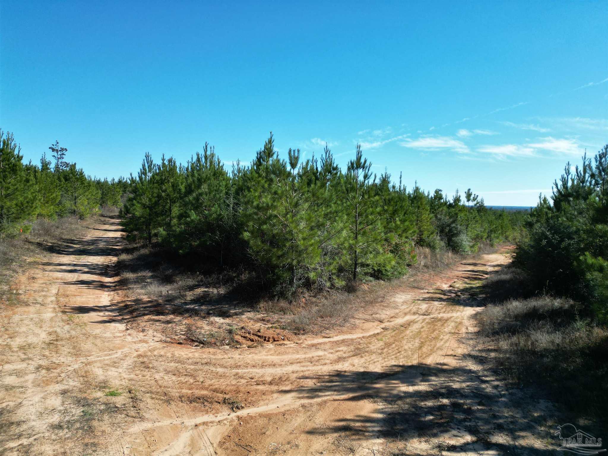 01 Robinsonville Rd
