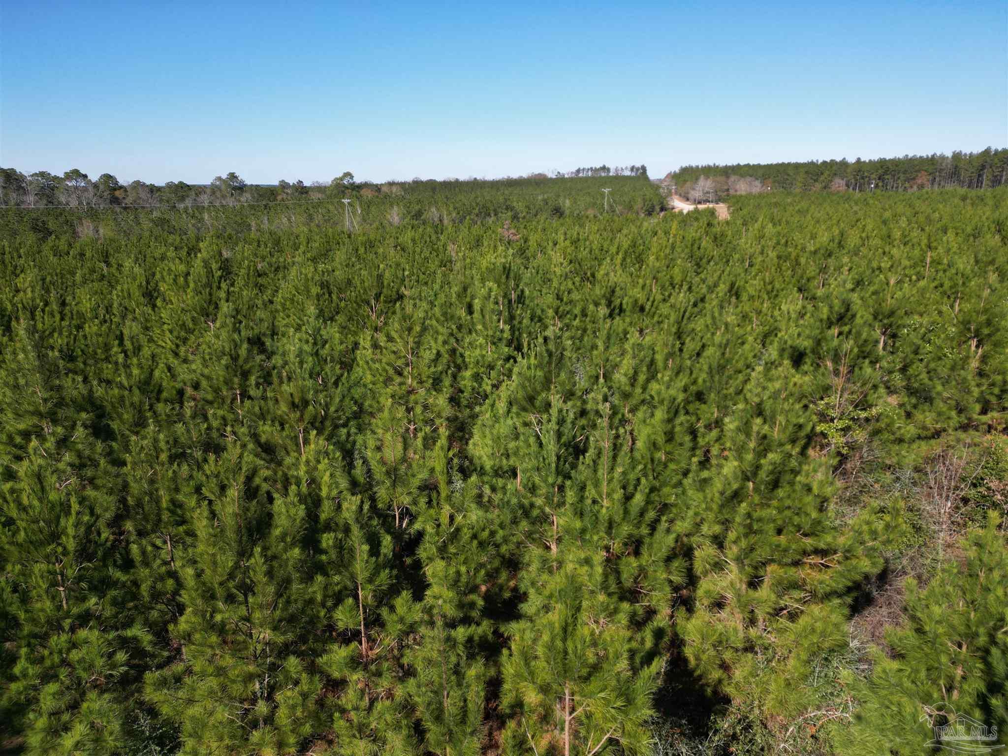 03 Robinsonville Rd